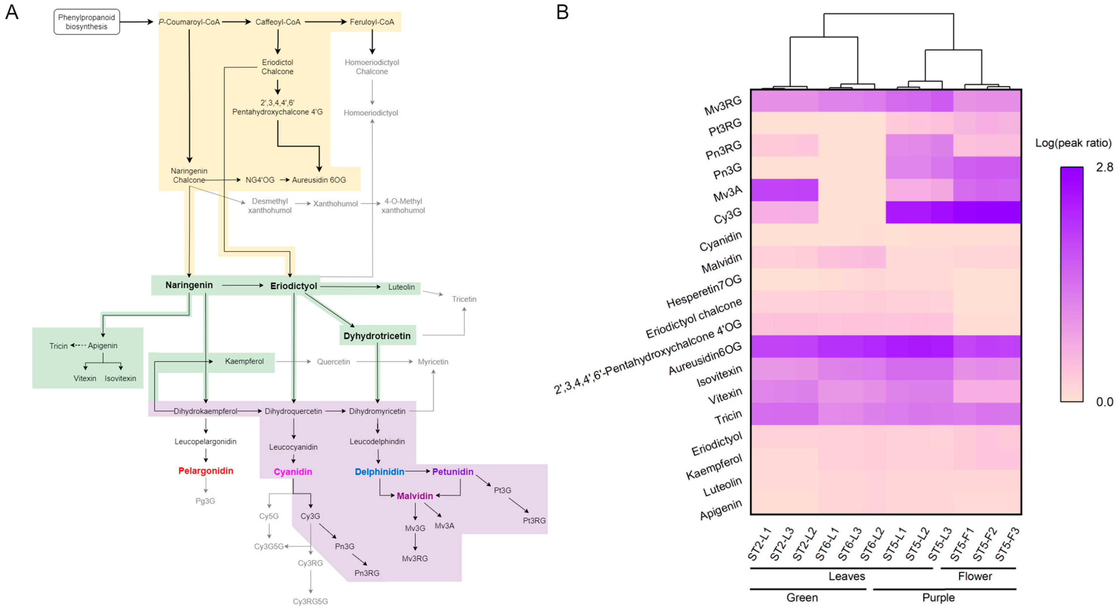 Foods 14 02582 g005 Foods 14 02582 g005