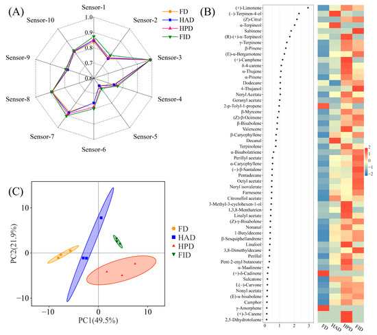 Physical Aspects, Phytochemical Profiles, and Nutritional