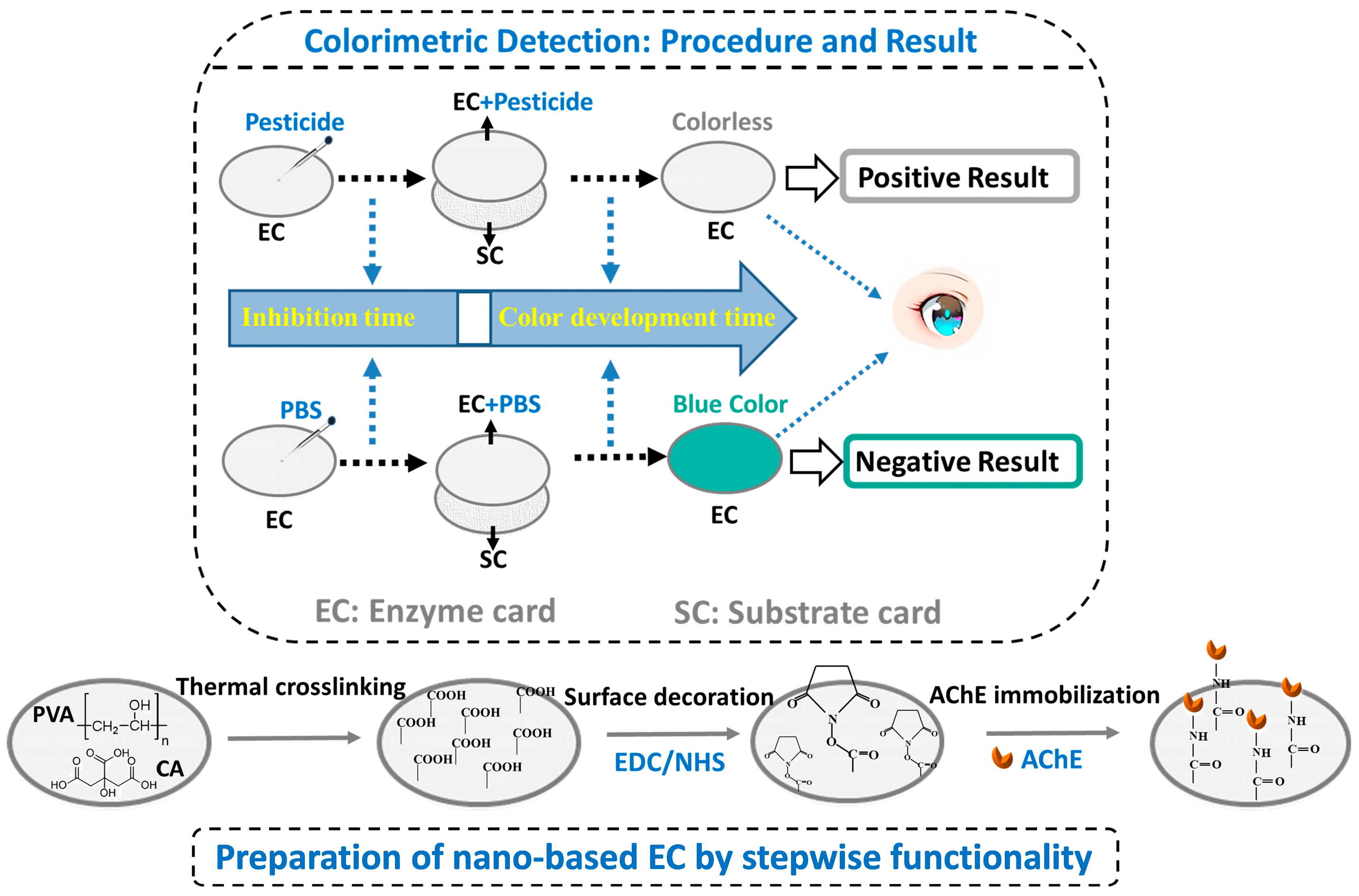 Foods 14 02628 sch001