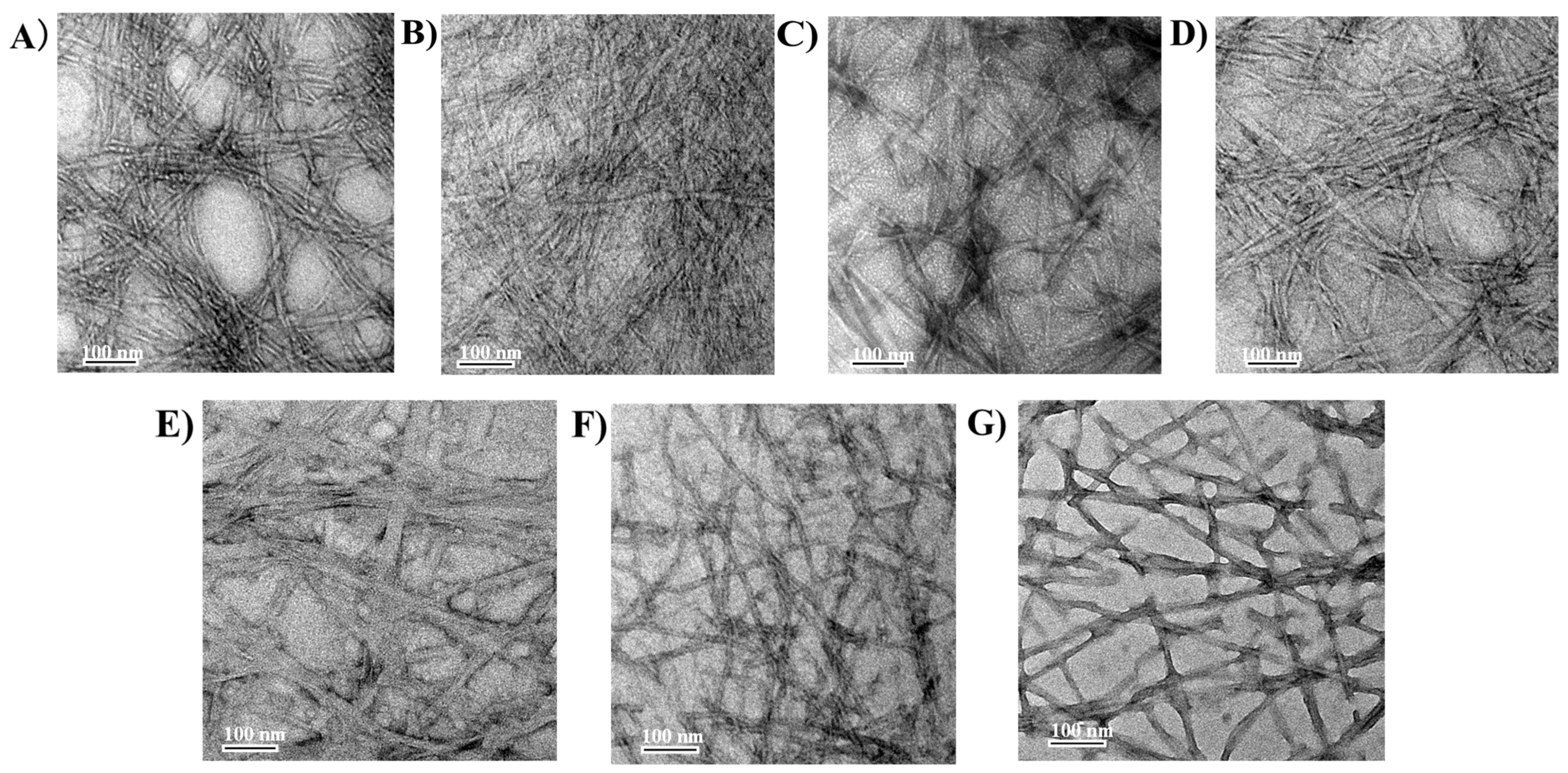 Foods 14 02629 g006 Foods 14 02629 g006