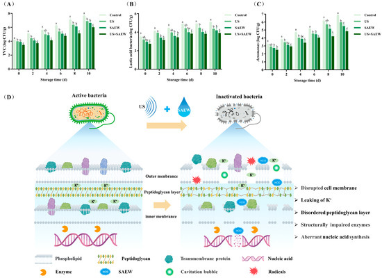 Study on the Microbial Inactivation and Quality Assurance of
