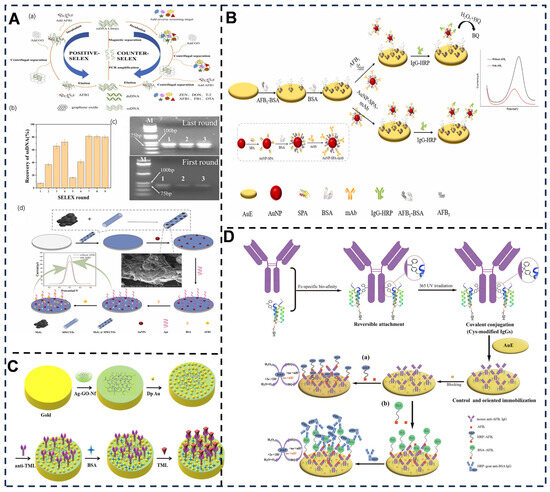 Electrochemical Biosensors Driving Model Transformation for