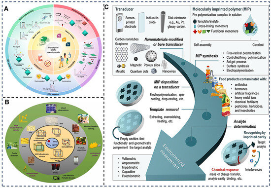 Electrochemical Biosensors Driving Model Transformation for