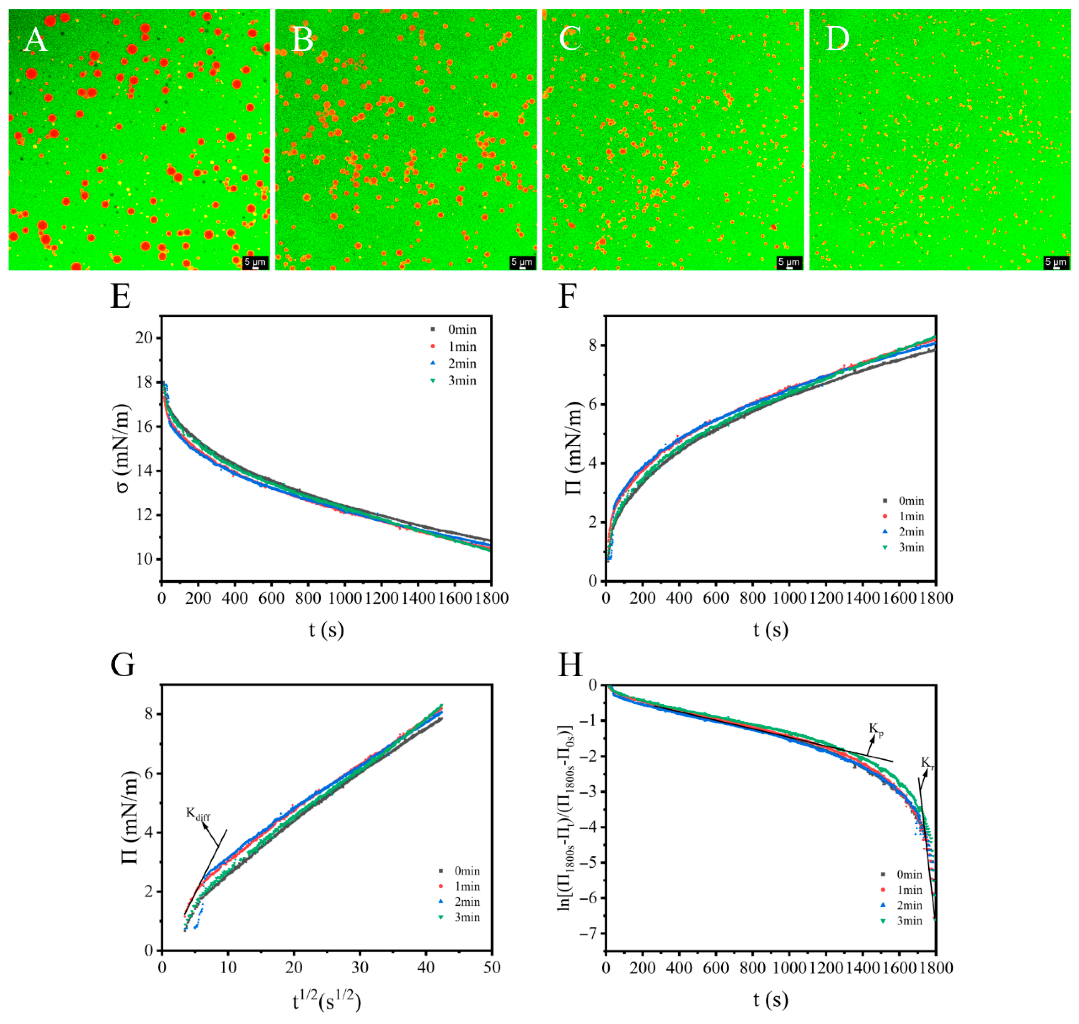 Foods 14 02702 g005 Foods 14 02702 g005