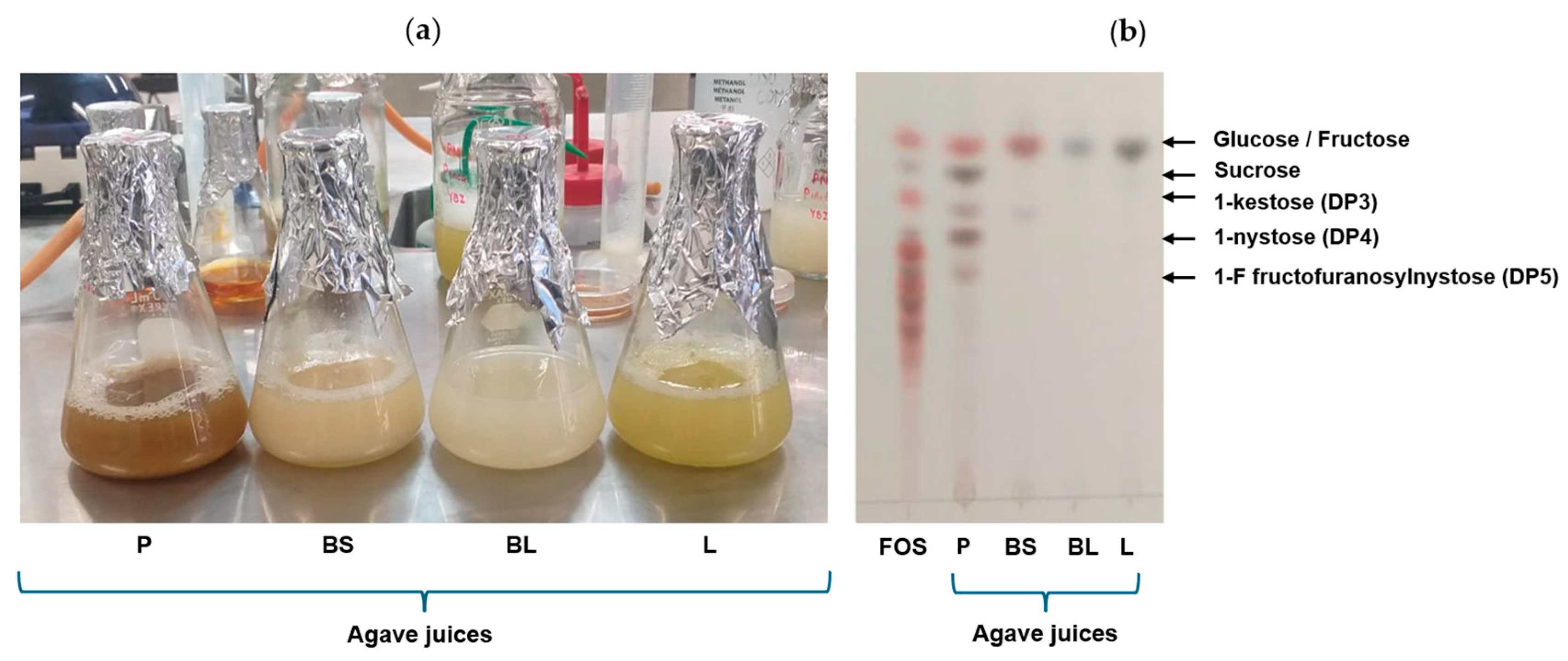 Foods 14 02714 g001 Foods 14 02714 g001