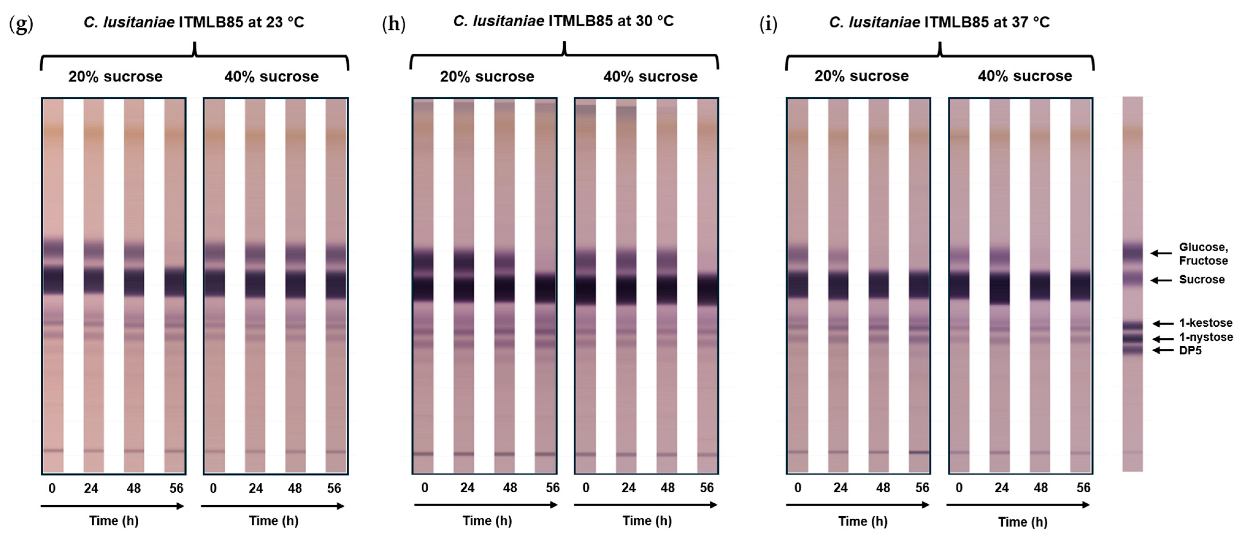 Foods 14 02714 g003b Foods 14 02714 g003b
