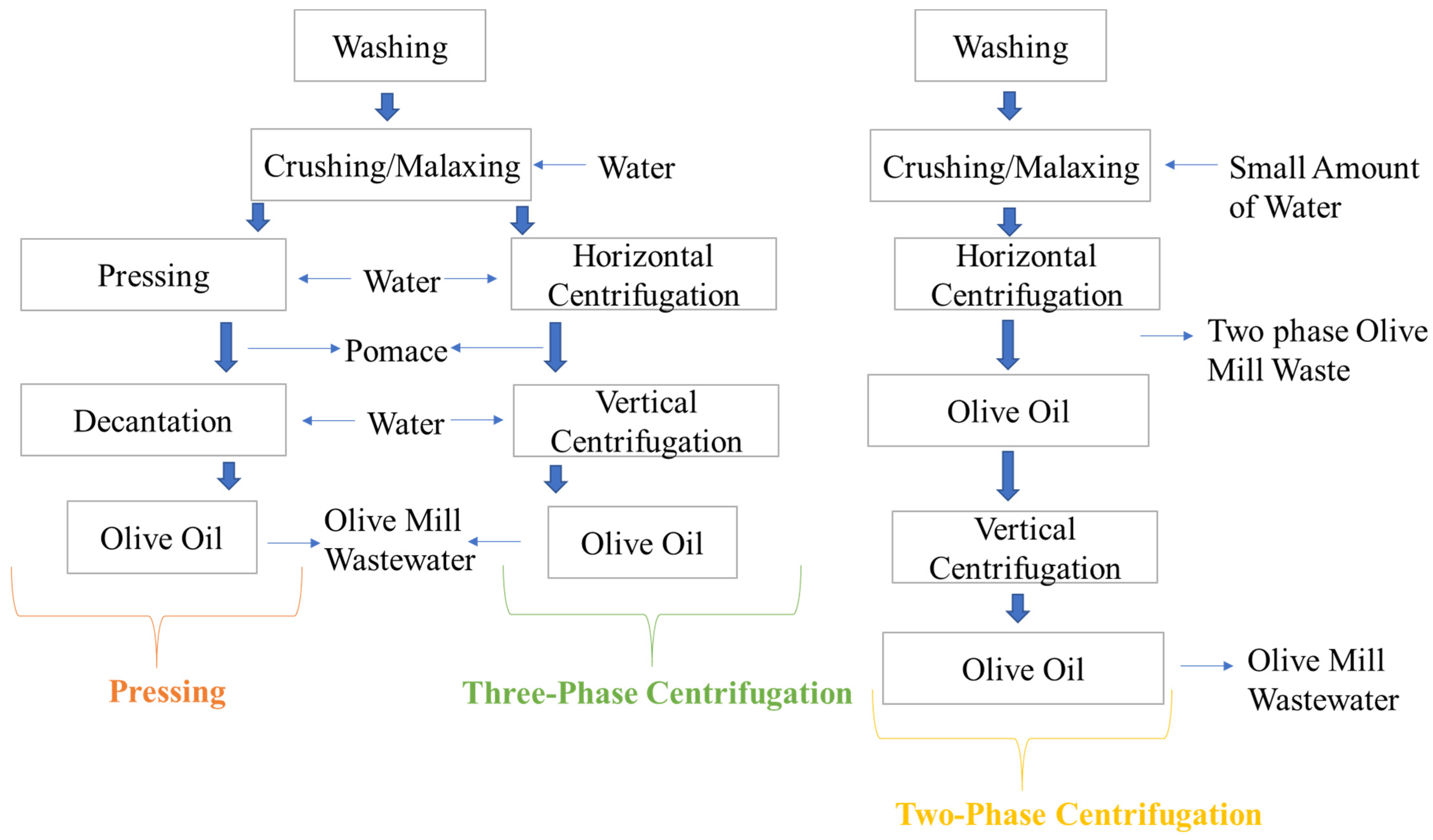 Foods 14 02718 g004 Foods 14 02718 g004