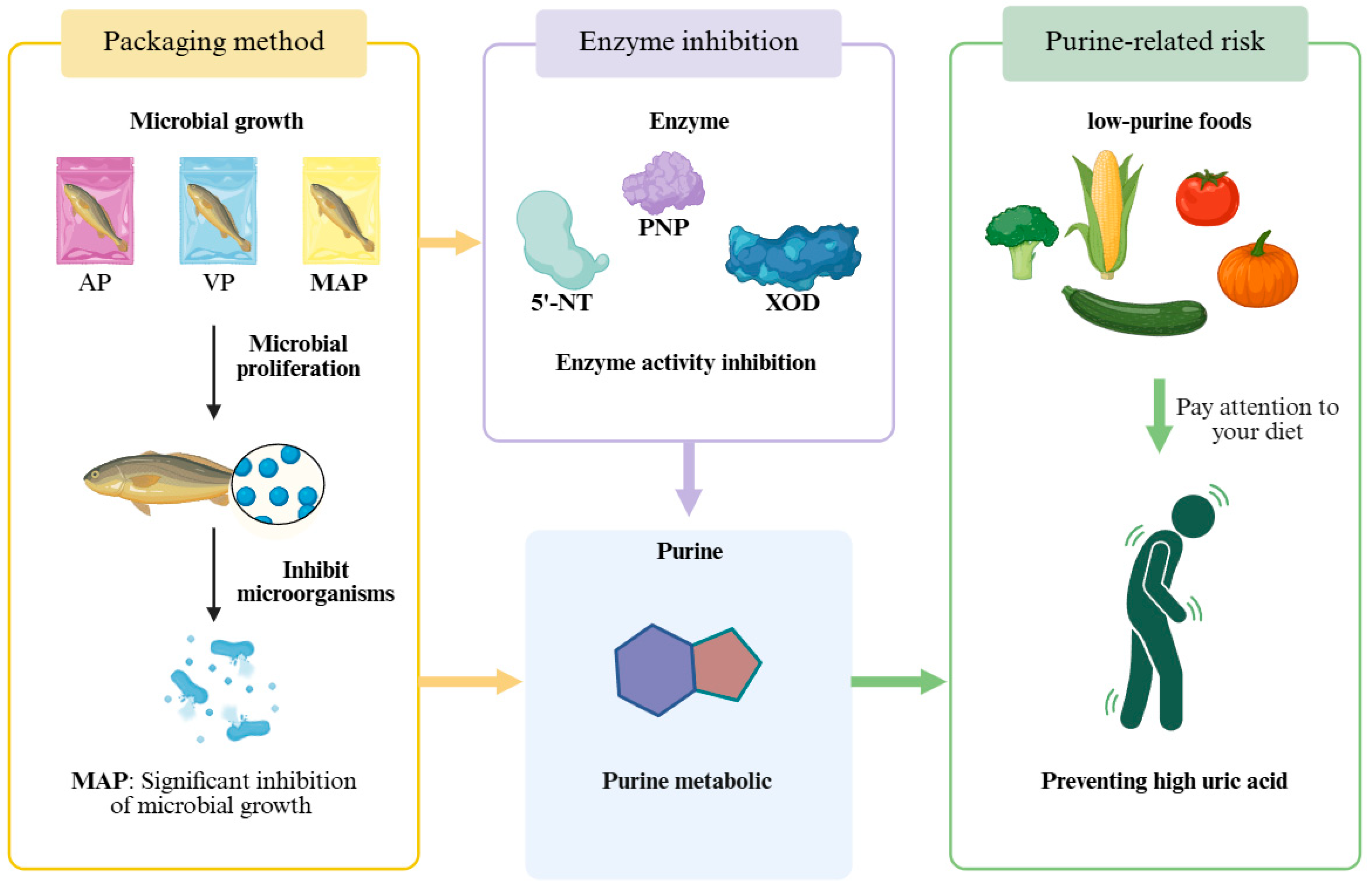 Foods 14 02732 g005 Foods 14 02732 g005