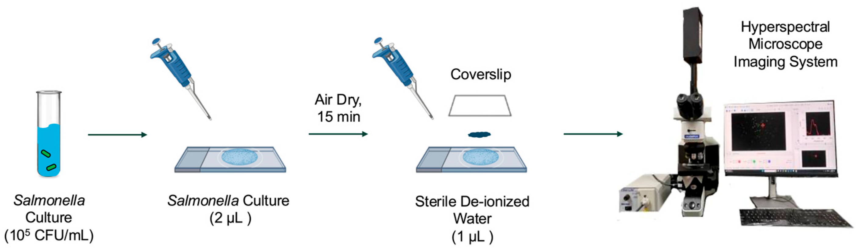 Foods 14 02737 g002 Foods 14 02737 g002