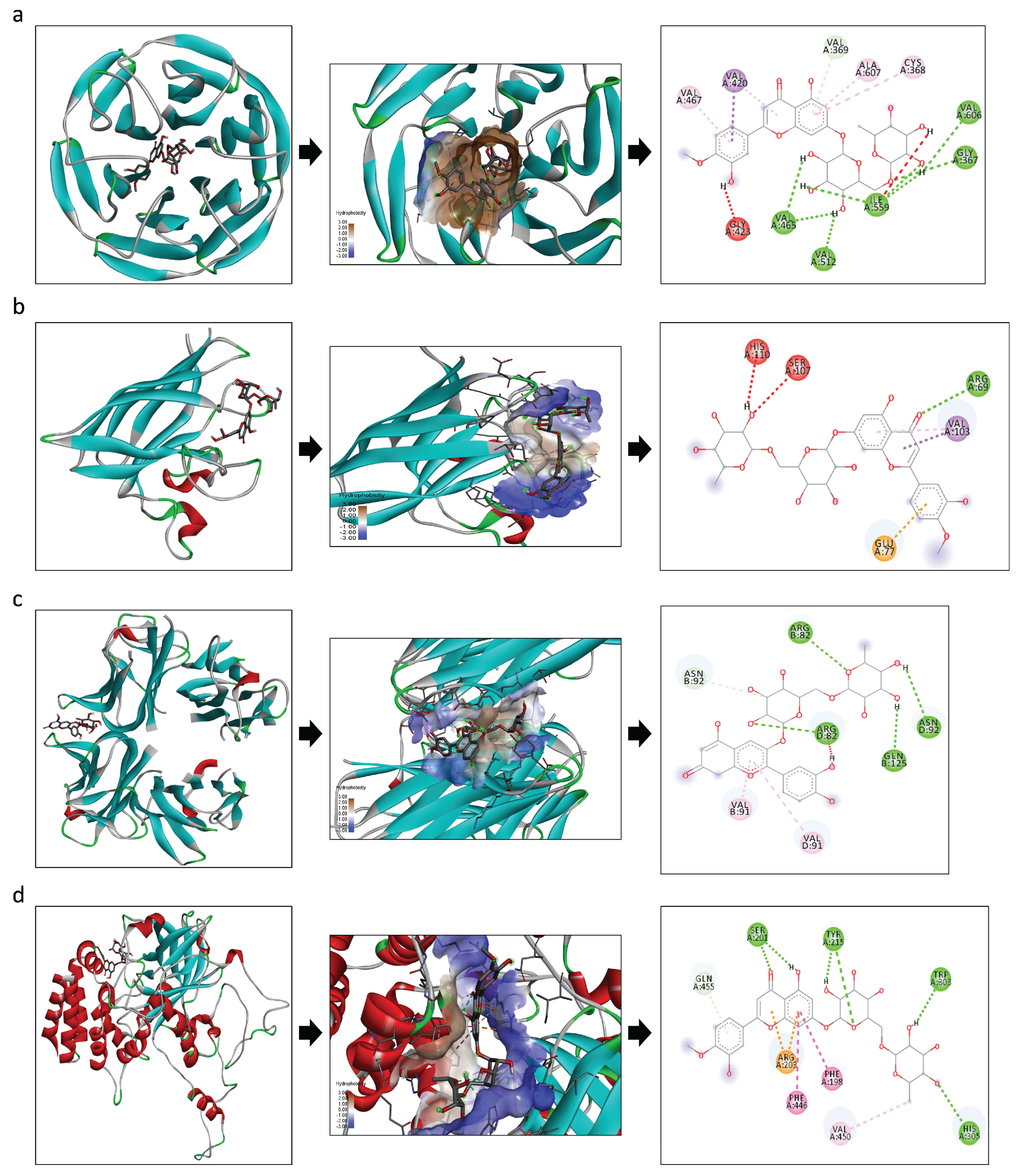 Foods 14 02752 g007 Foods 14 02752 g007