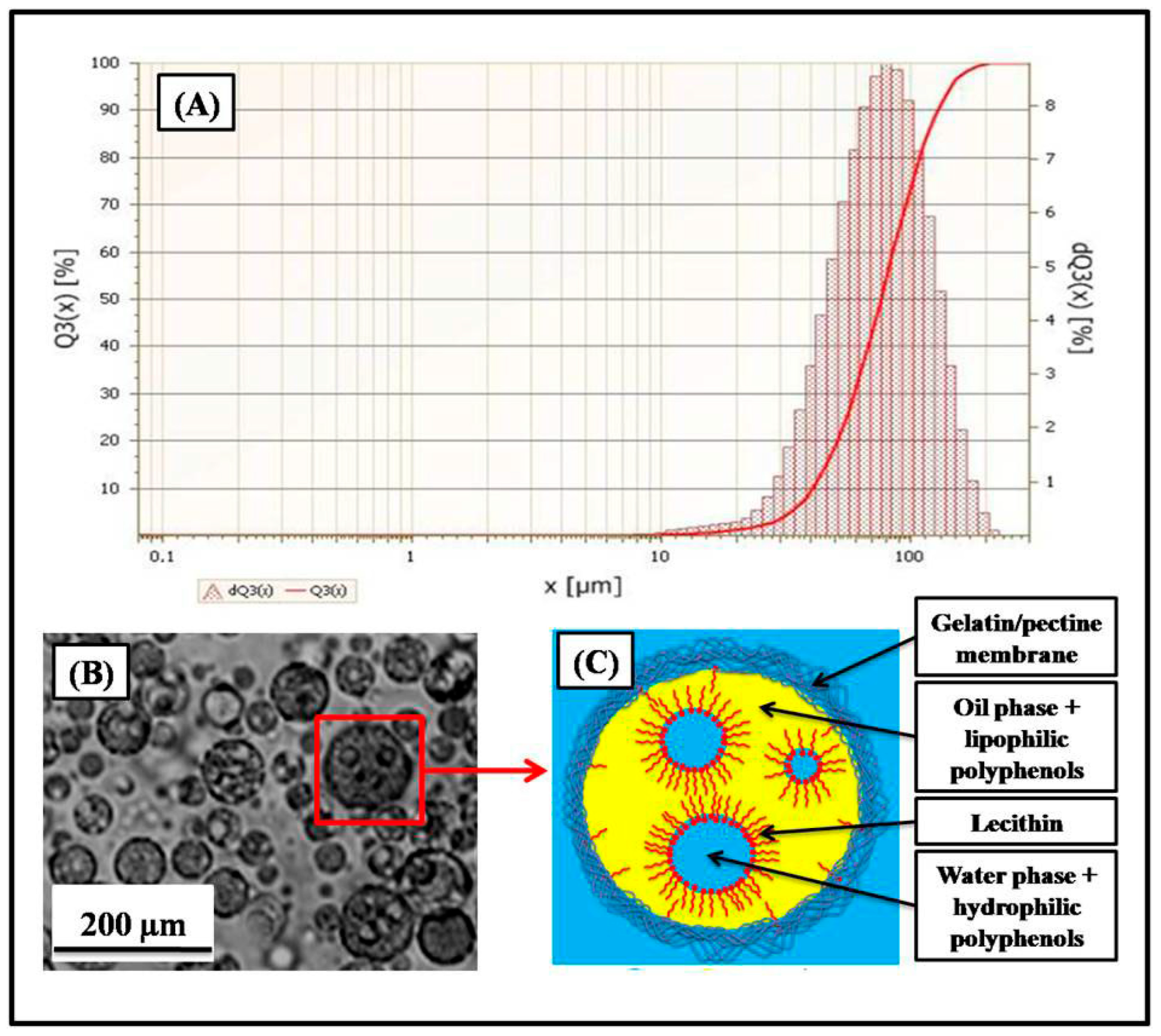 Foods 14 02757 g002 Foods 14 02757 g002