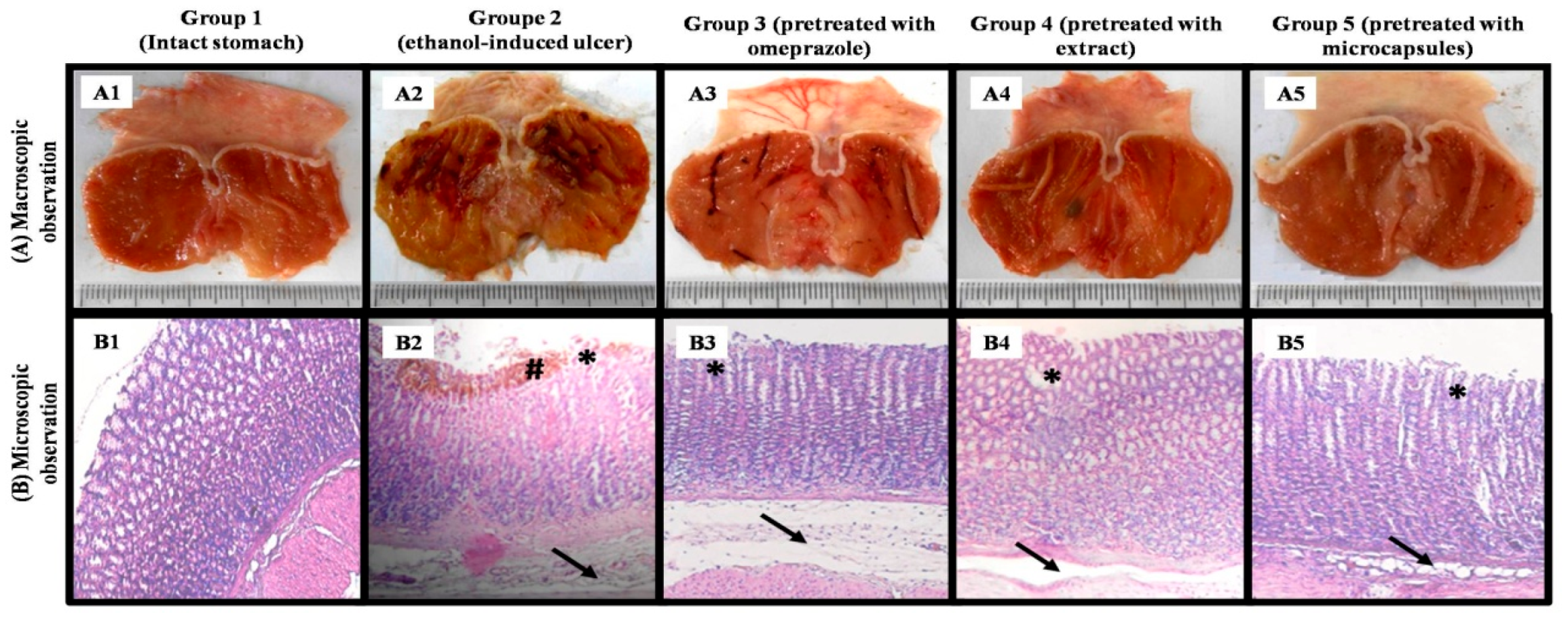 Foods 14 02757 g005 Foods 14 02757 g005