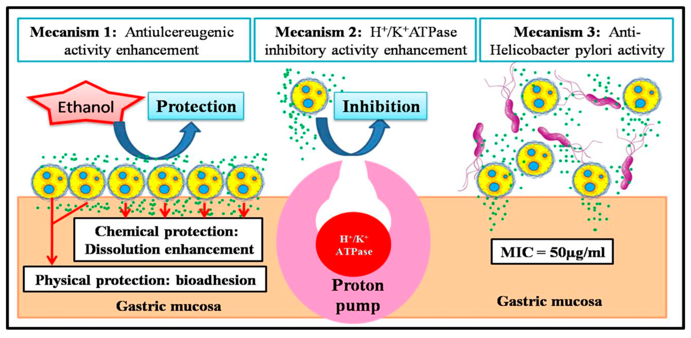 Foods 14 02757 g007 Foods 14 02757 g007