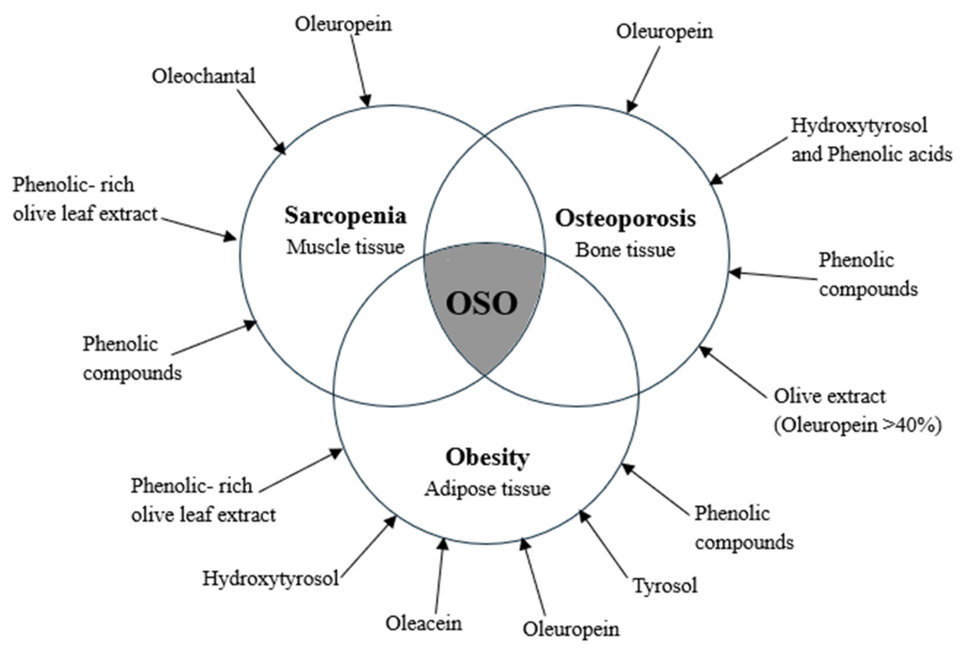 Foods 14 02766 g004 Foods 14 02766 g004