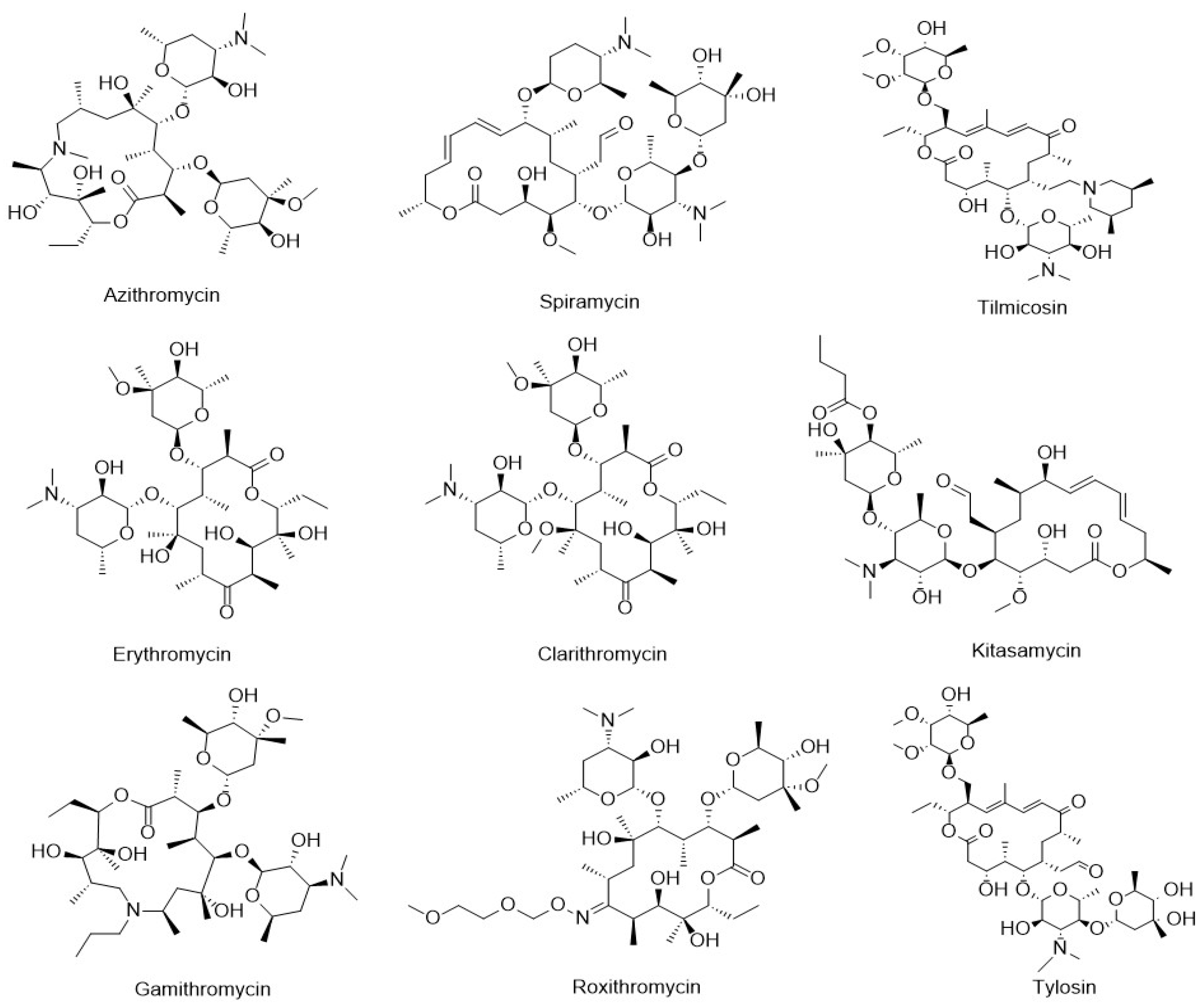 Foods 14 02768 g001 Foods 14 02768 g001