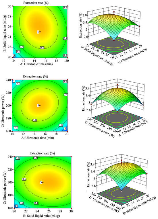 Ultrasound-Optimized Extraction and Multi-Target Mechanistic