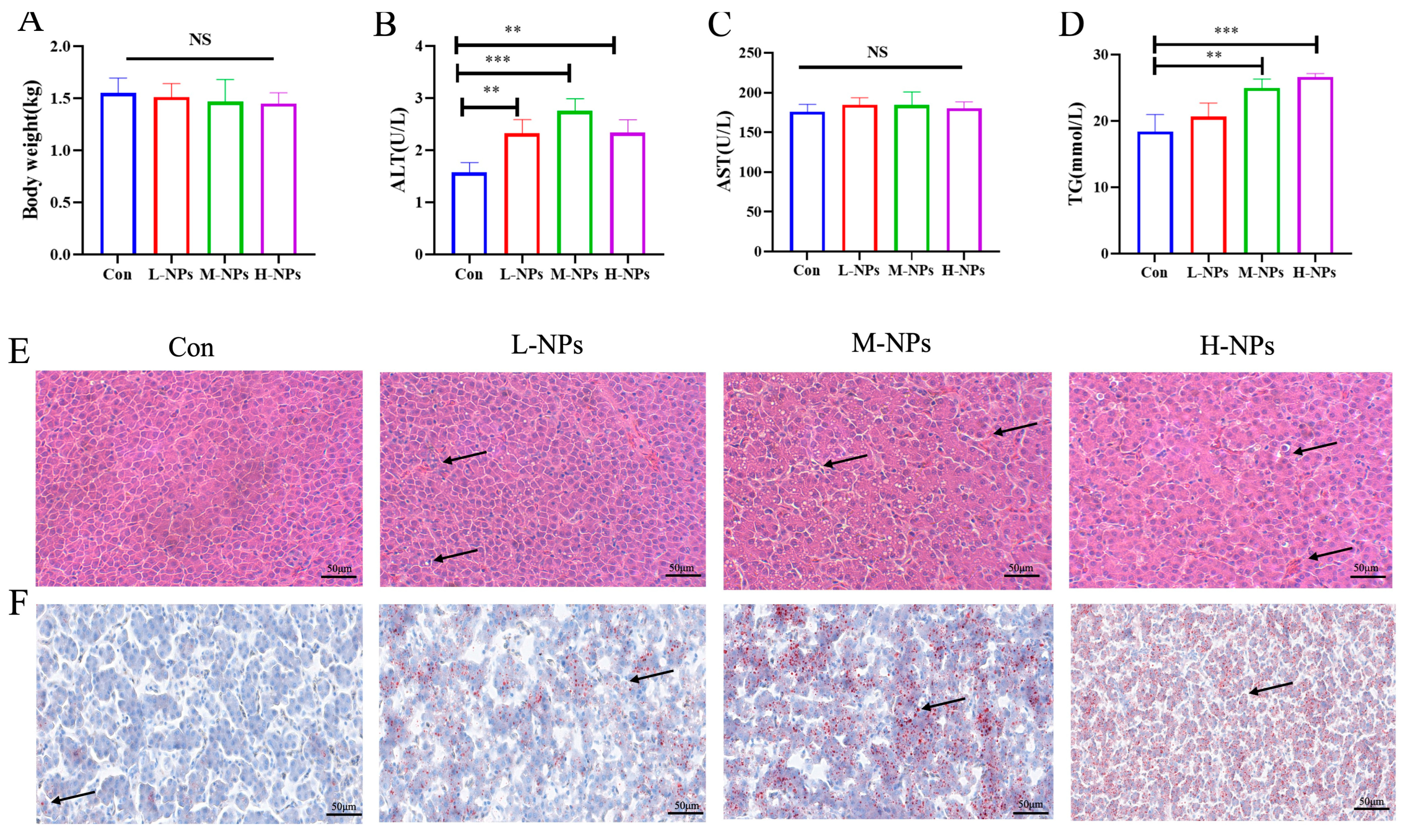 Foods 14 02781 g002 Foods 14 02781 g002