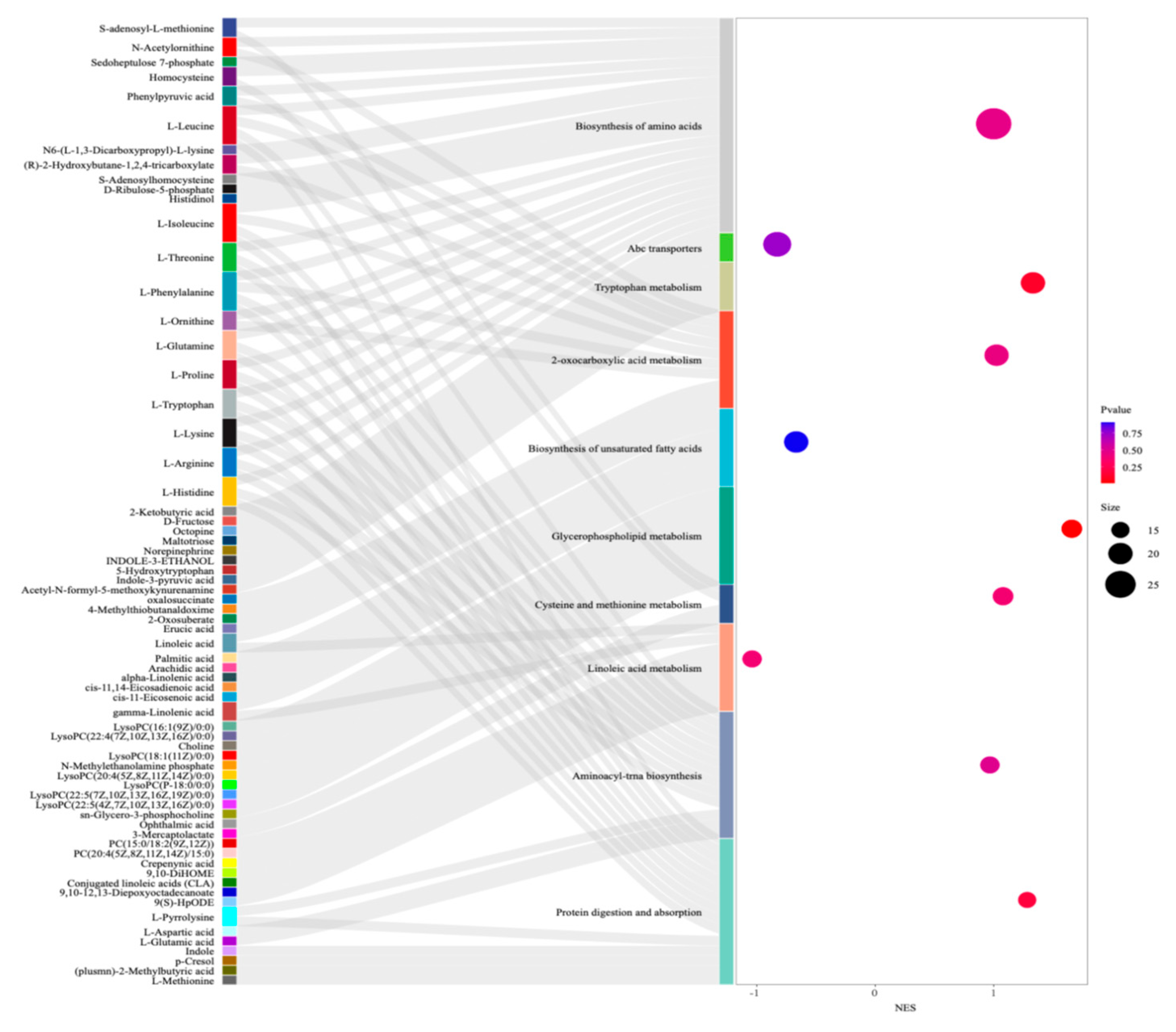 Foods 14 02781 g008 Foods 14 02781 g008