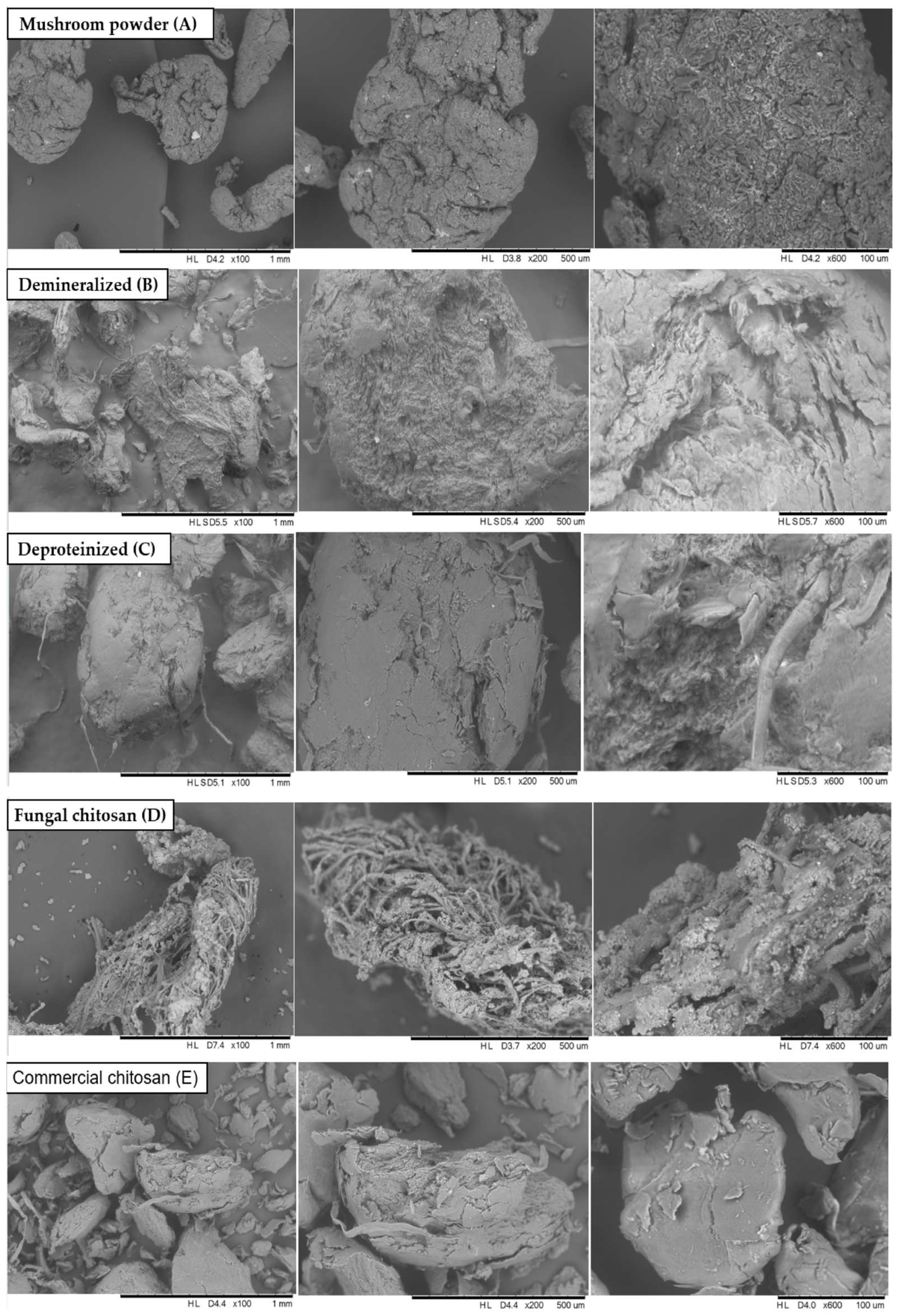 Foods 14 02785 g002 Foods 14 02785 g002