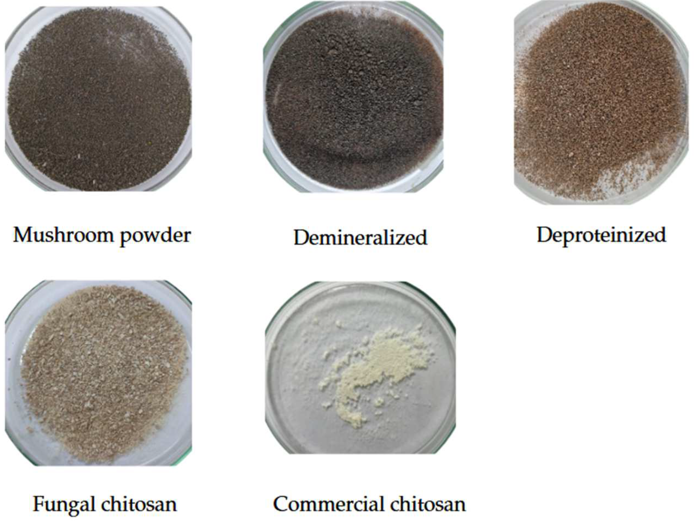 Foods 14 02785 g006 Foods 14 02785 g006