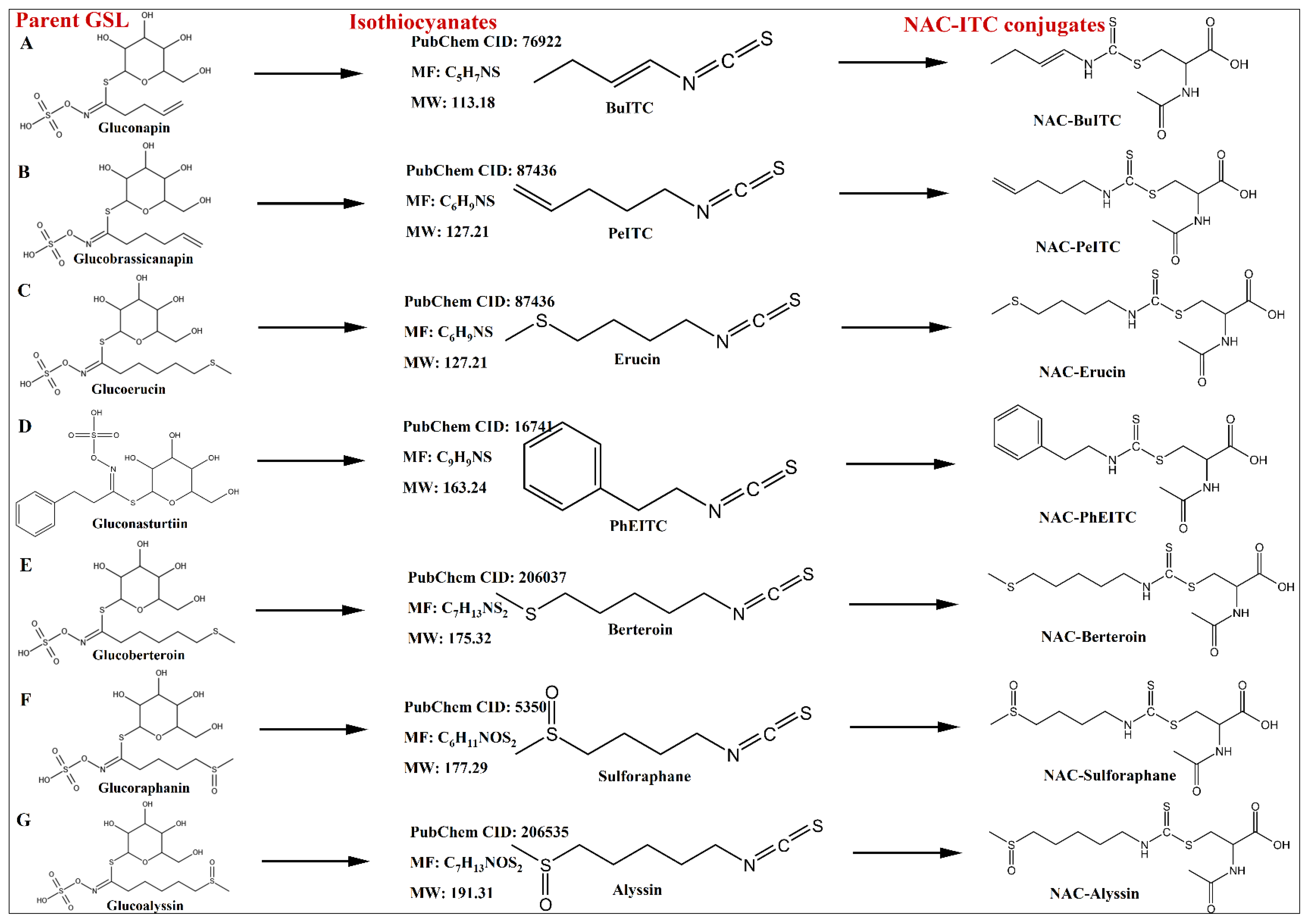 Foods 14 02808 g002 Foods 14 02808 g002