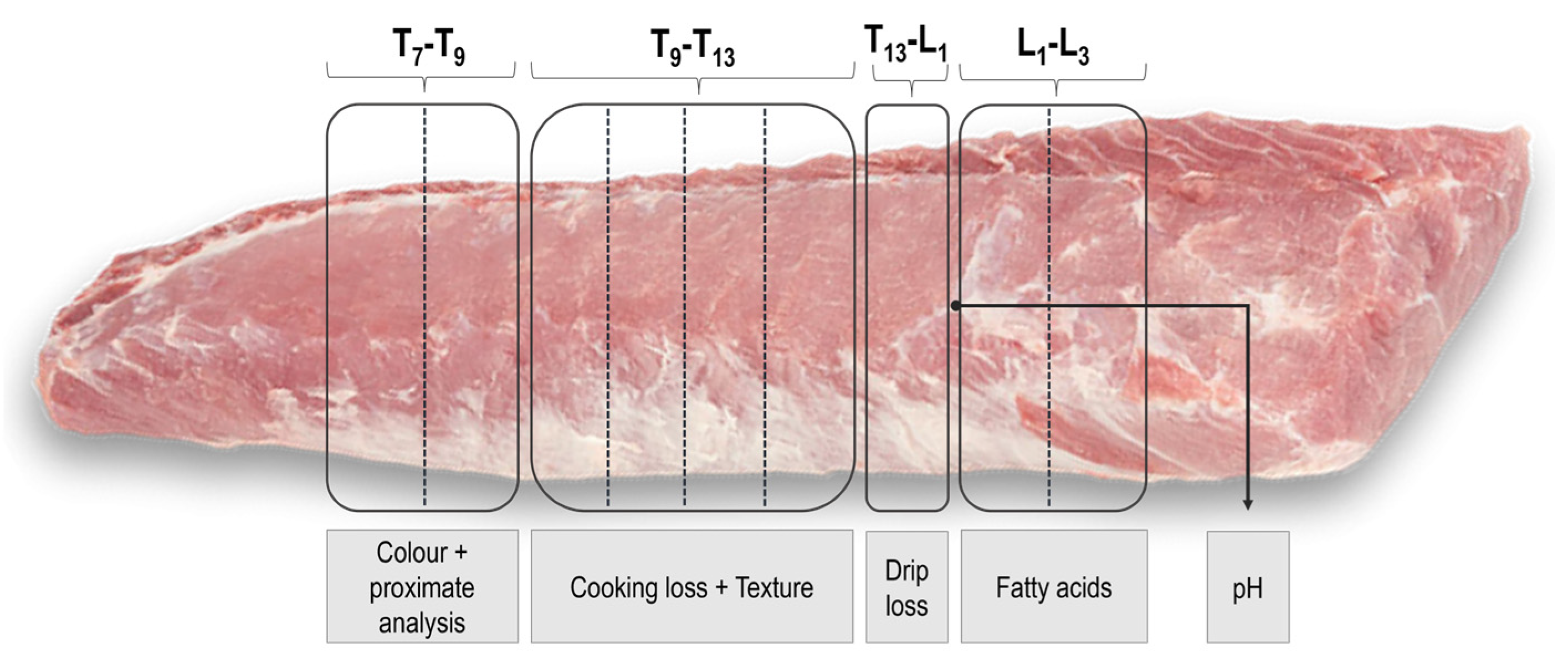 Foods 14 02817 g002 Foods 14 02817 g002