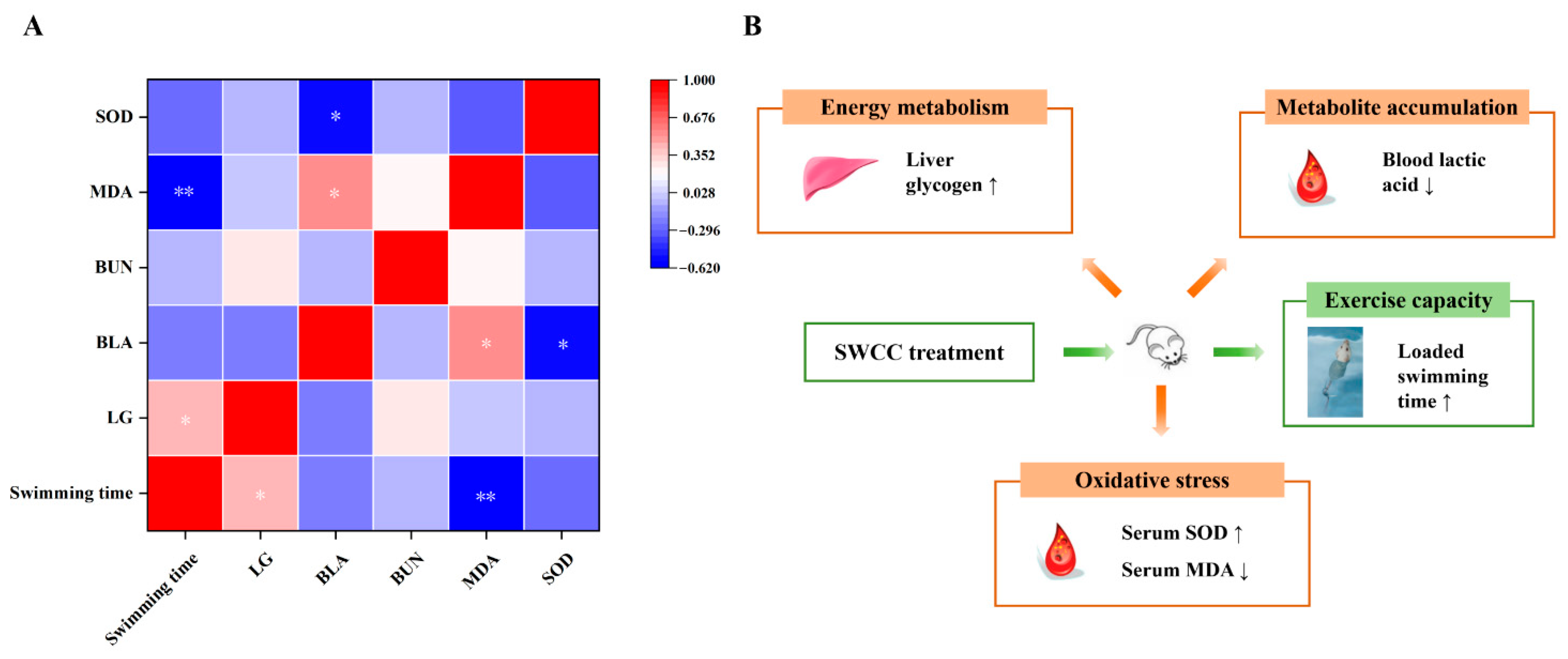 Foods 14 02818 g005 Foods 14 02818 g005