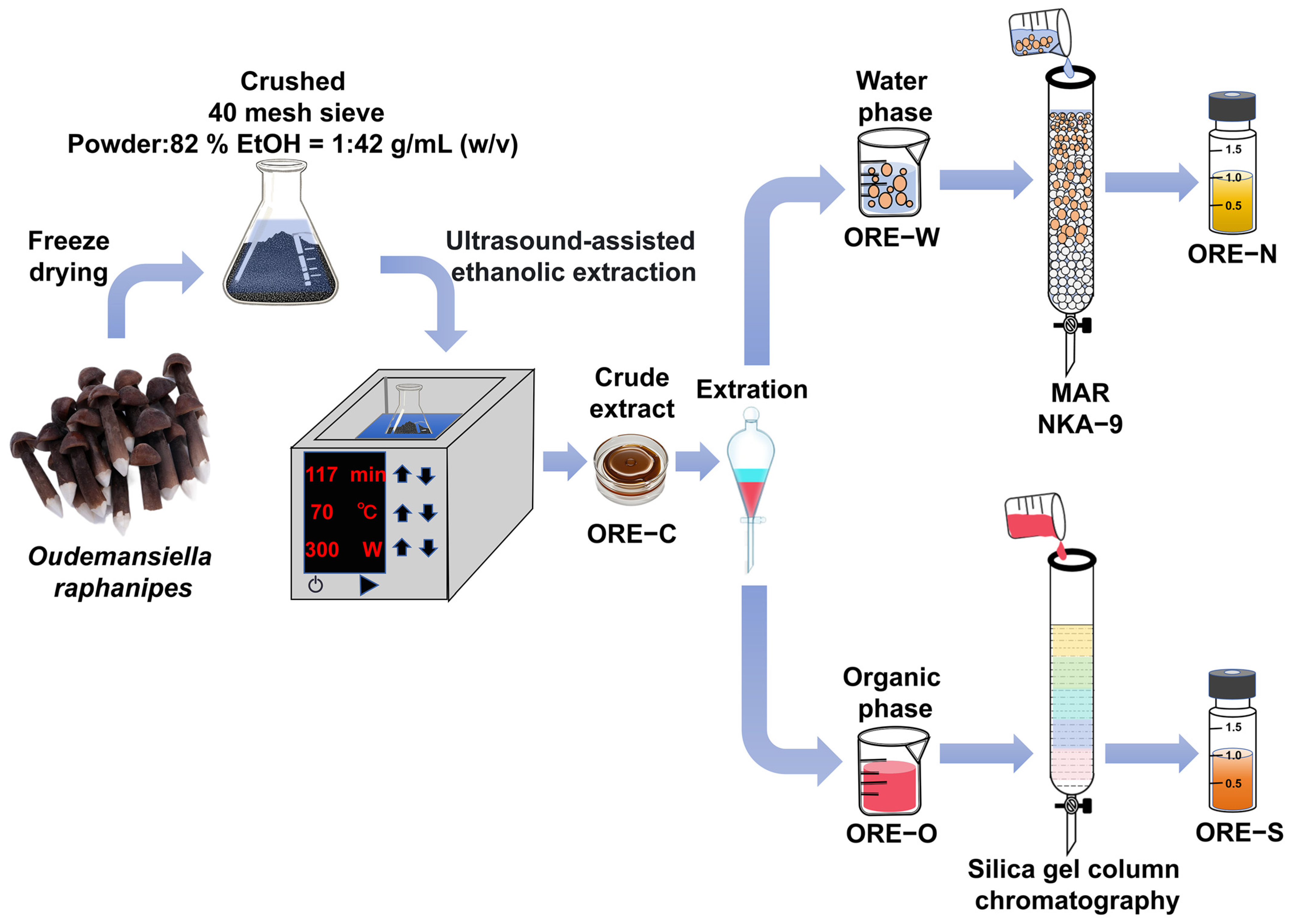 Widely Targeted Metabolomic and Network Pharmacology