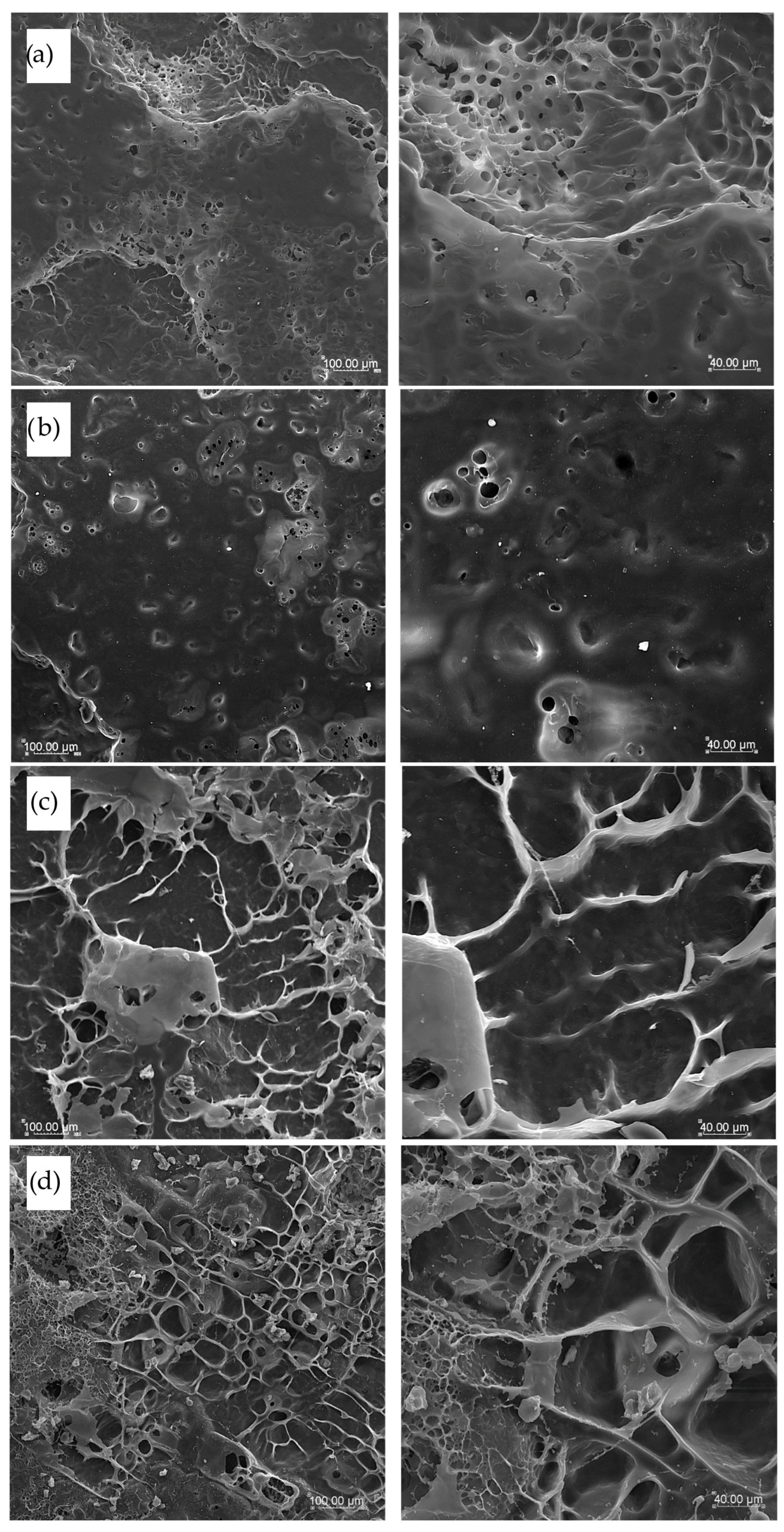 Foods 14 02832 g007 Foods 14 02832 g007