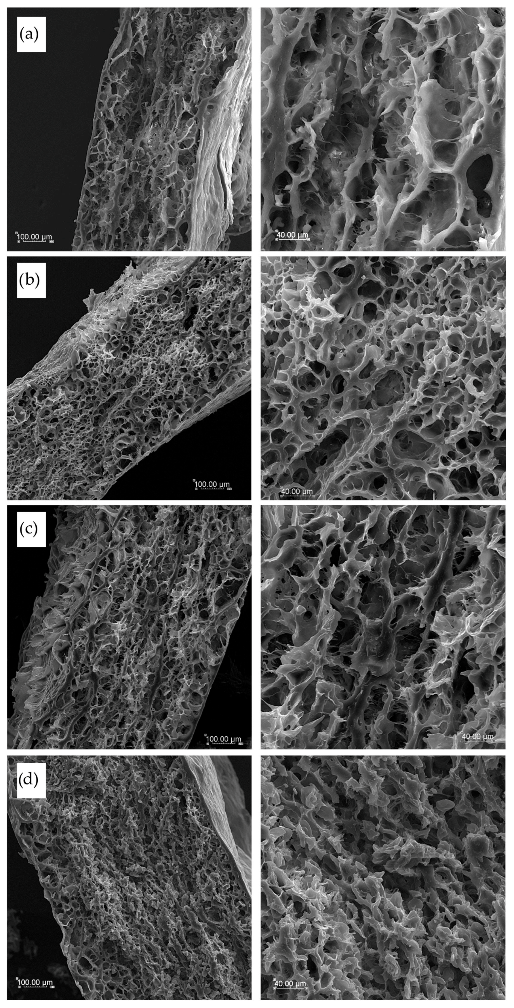 Foods 14 02832 g009 Foods 14 02832 g009