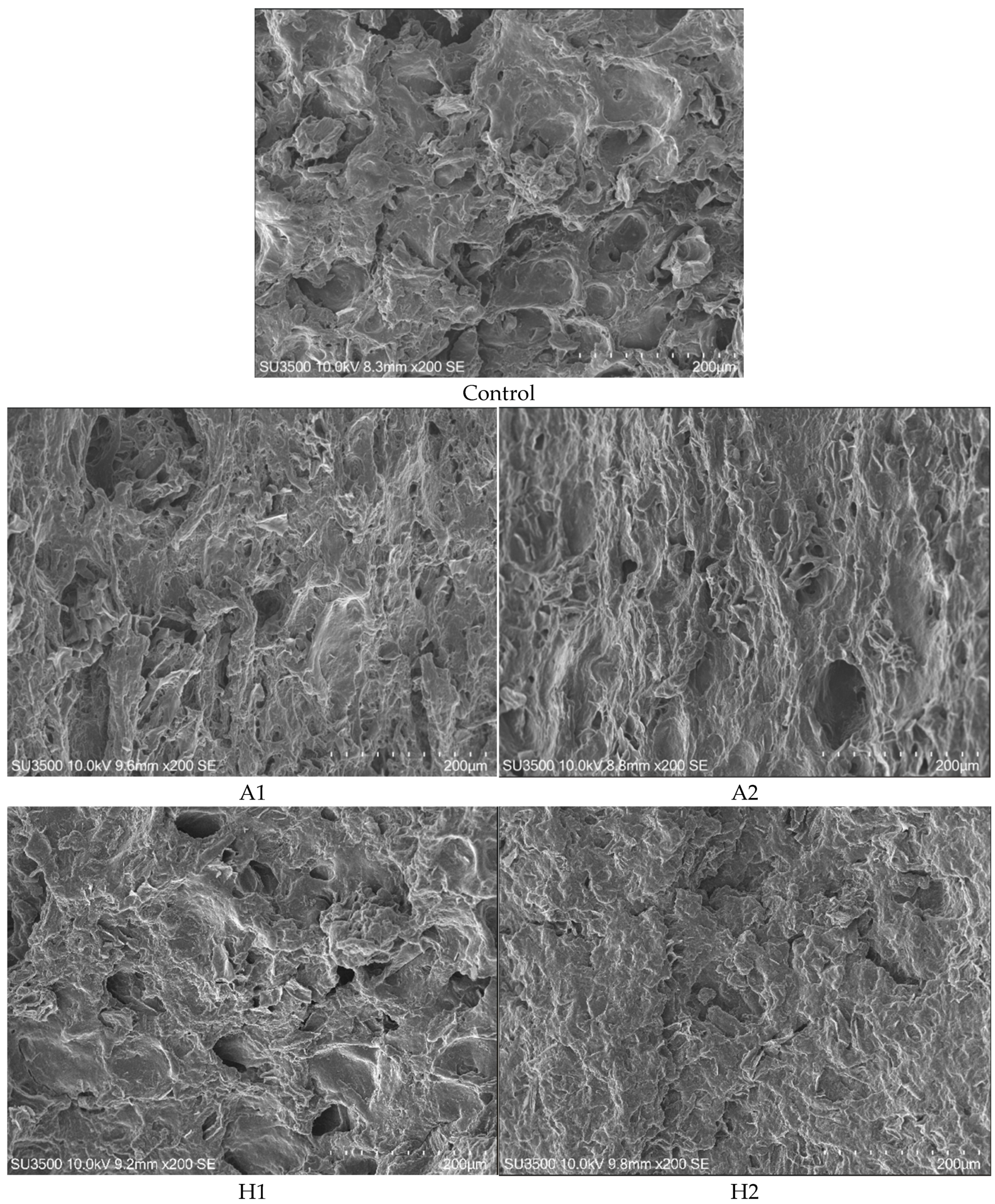 Foods 14 02838 g003a Foods 14 02838 g003a