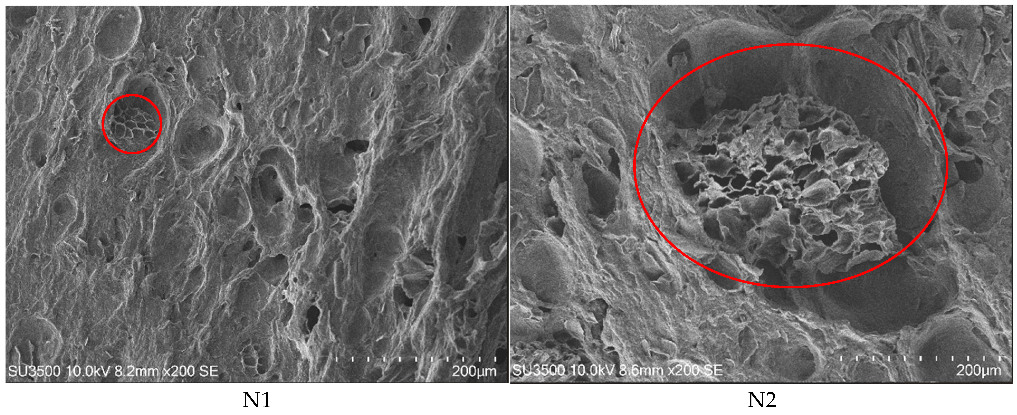 Foods 14 02838 g003b Foods 14 02838 g003b