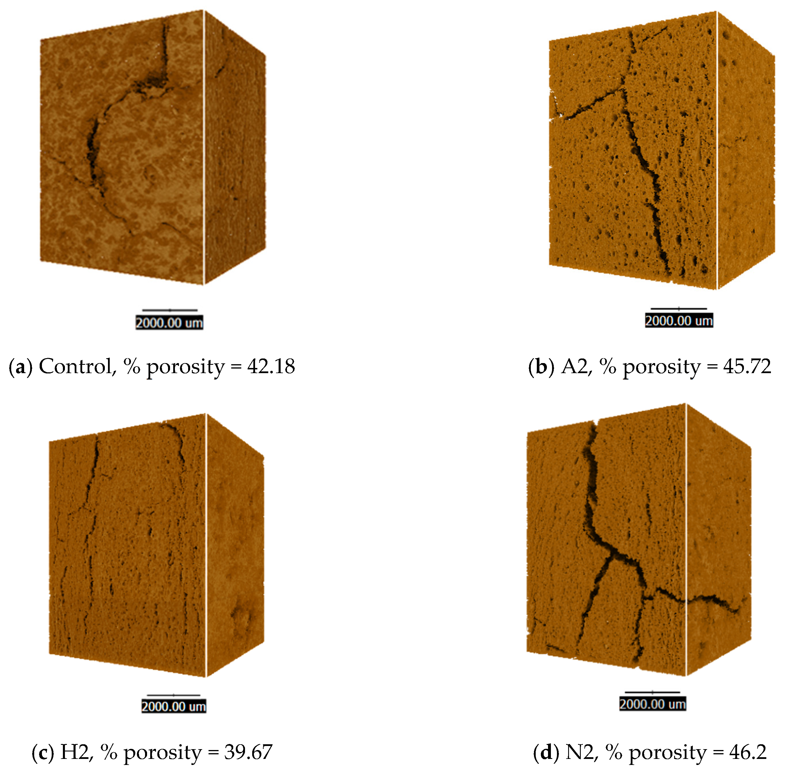 Foods 14 02838 g004 Foods 14 02838 g004