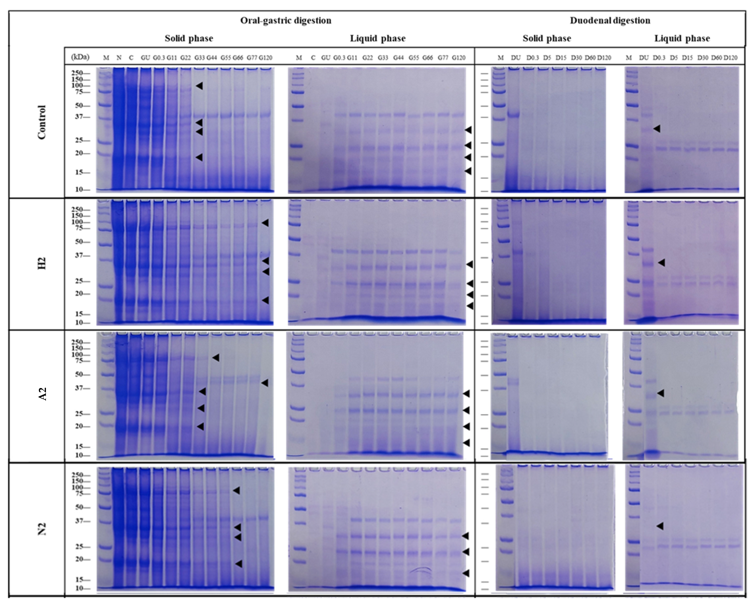 Foods 14 02838 g005 Foods 14 02838 g005