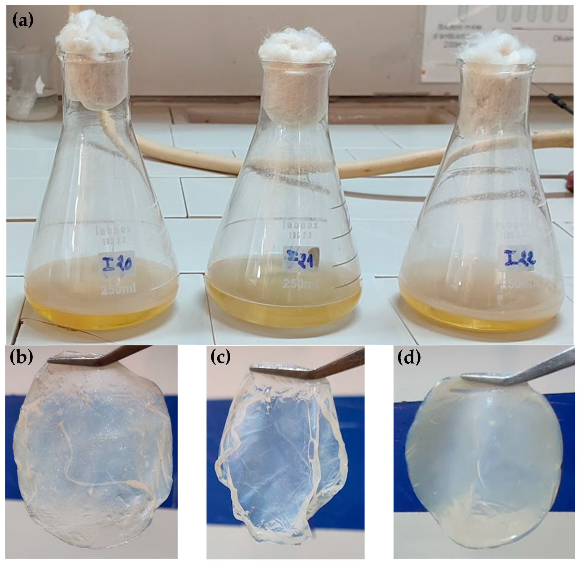 Foods 14 02853 g001 Foods 14 02853 g001