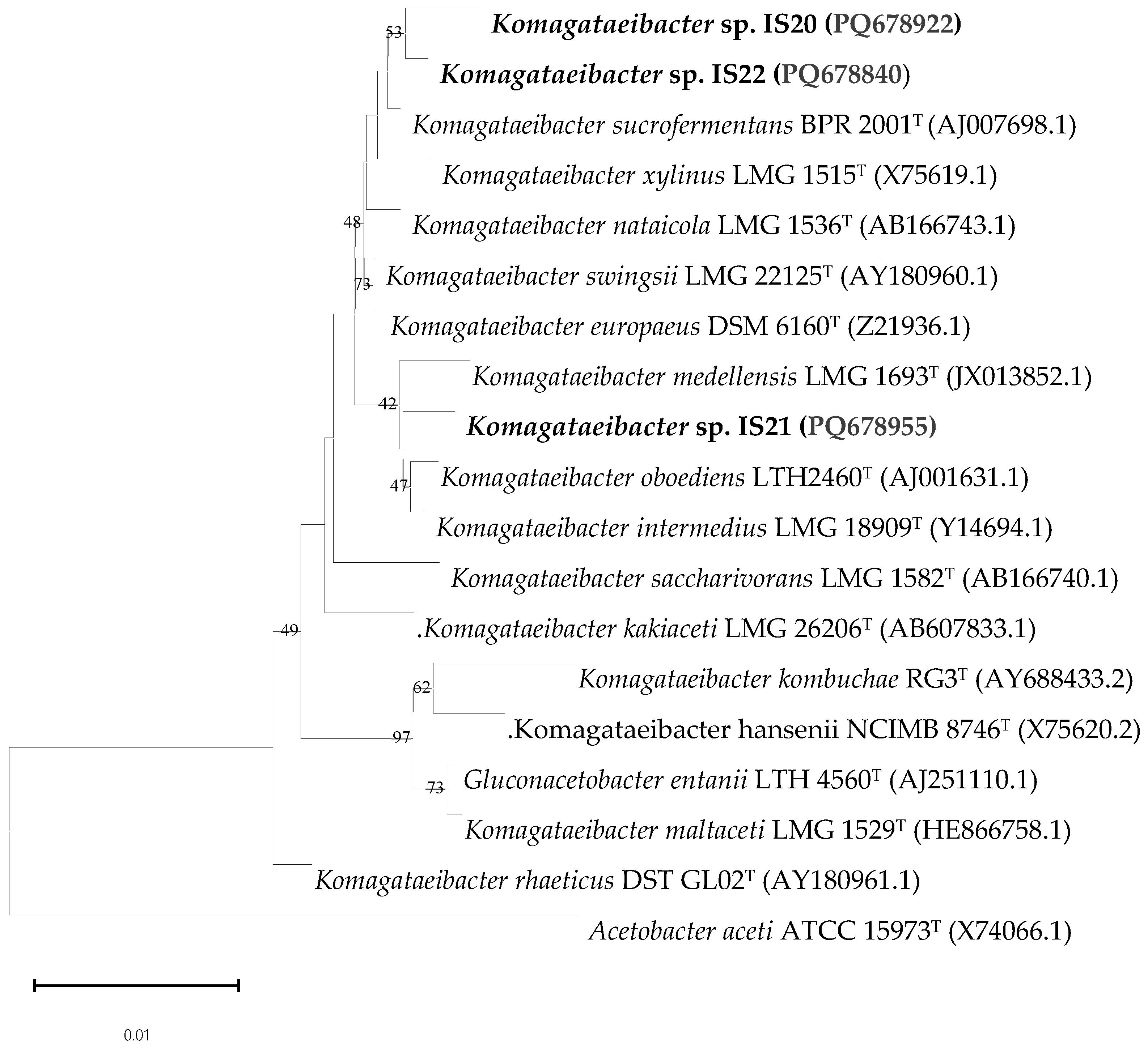 Foods 14 02853 g002 Foods 14 02853 g002