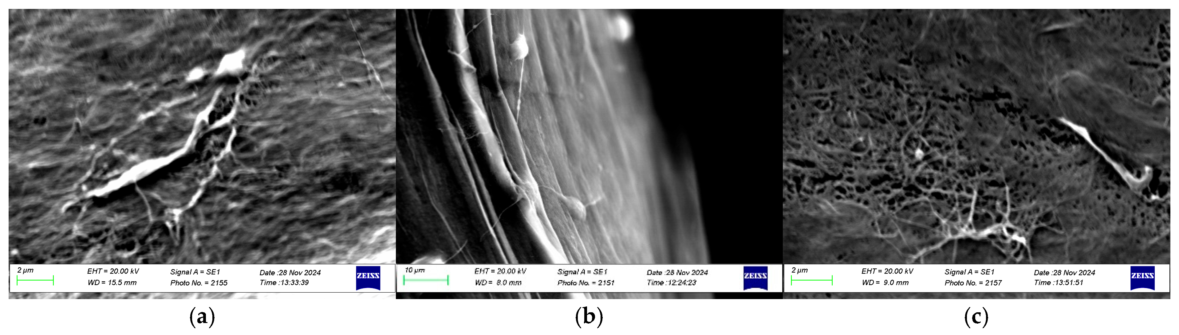 Foods 14 02853 g005 Foods 14 02853 g005