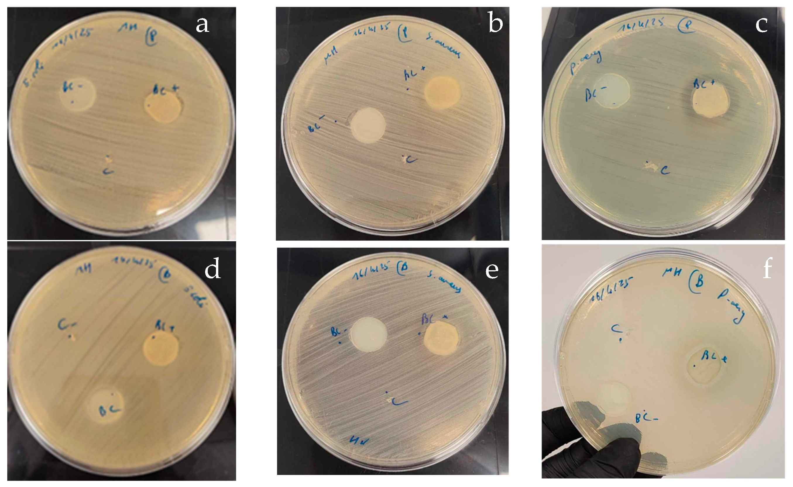 Foods 14 02853 g010 Foods 14 02853 g010