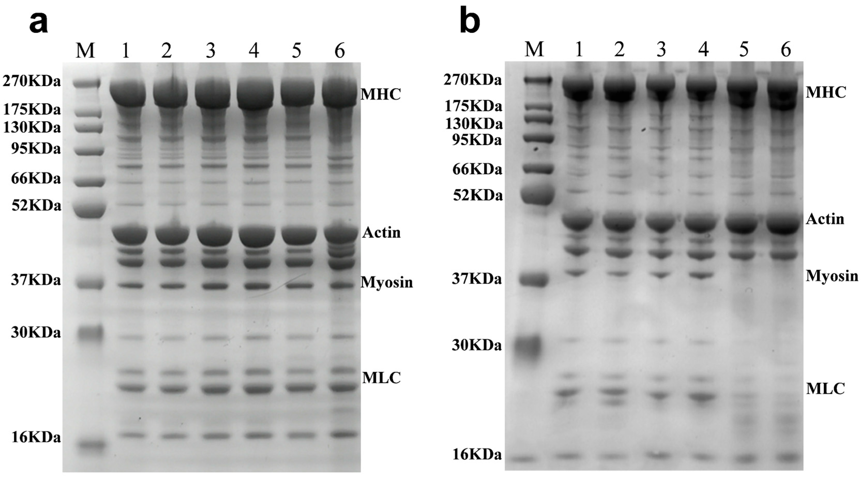 Foods 14 02868 g004 Foods 14 02868 g004