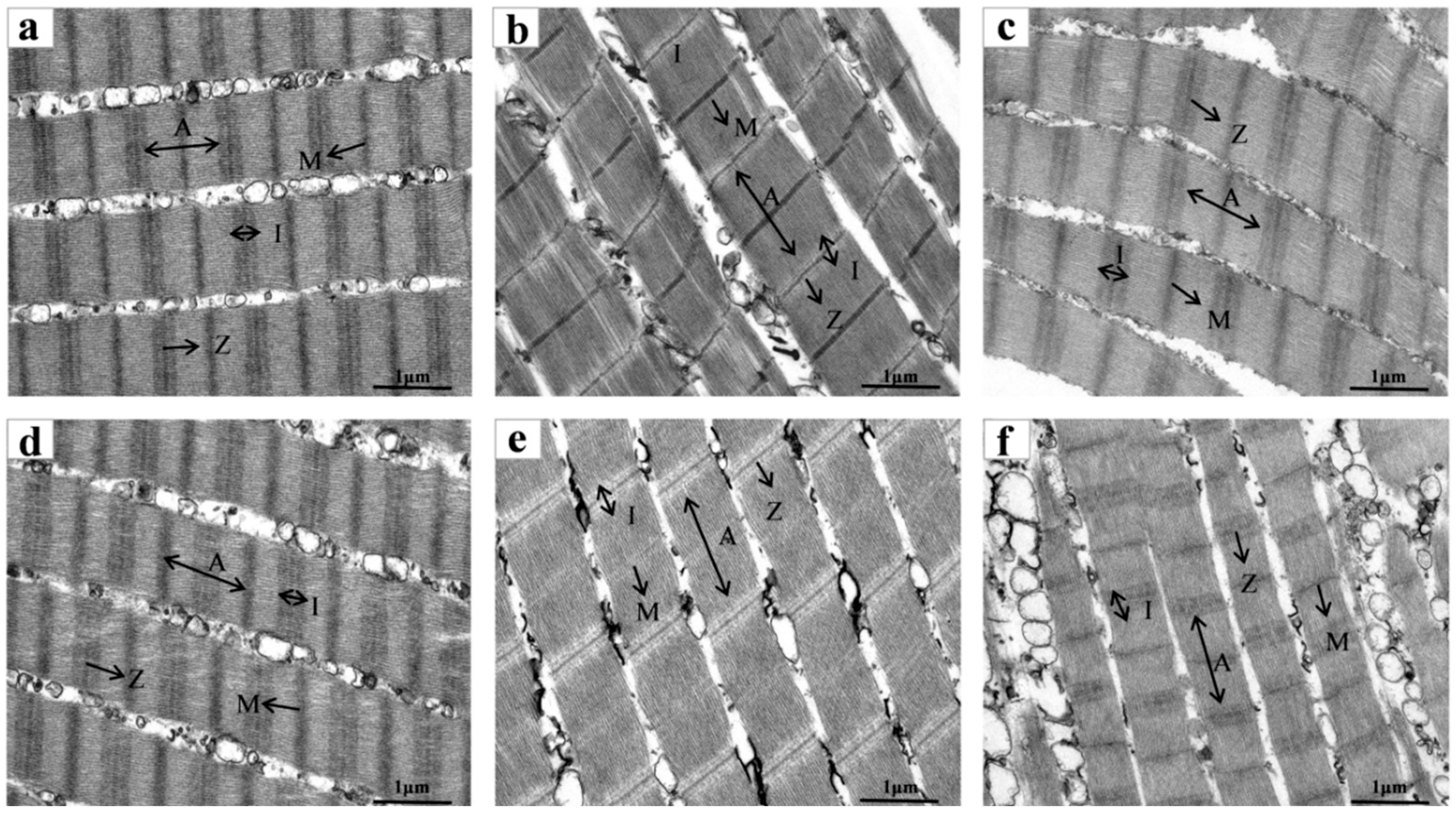 Foods 14 02868 g005 Foods 14 02868 g005