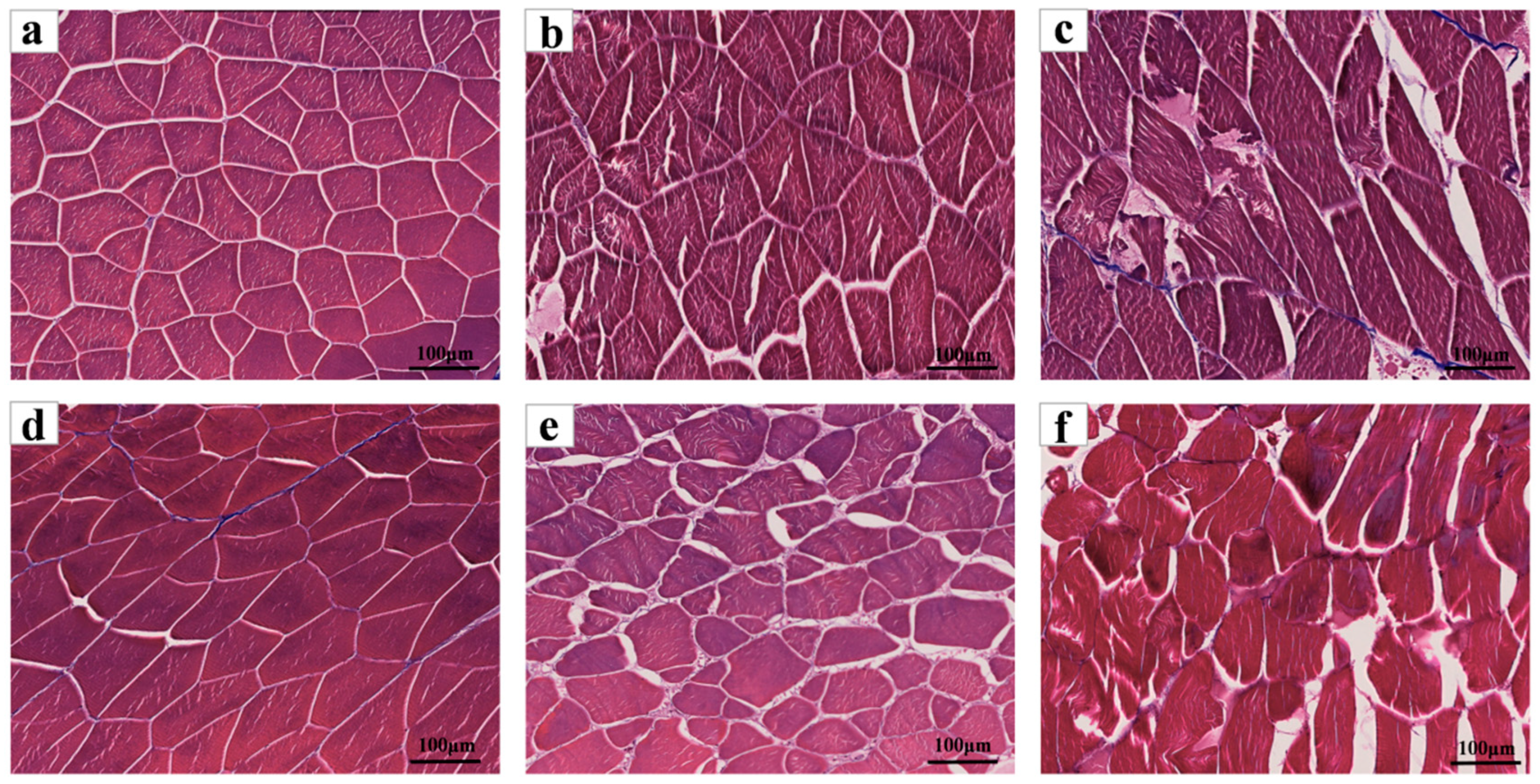 Foods 14 02868 g006 Foods 14 02868 g006