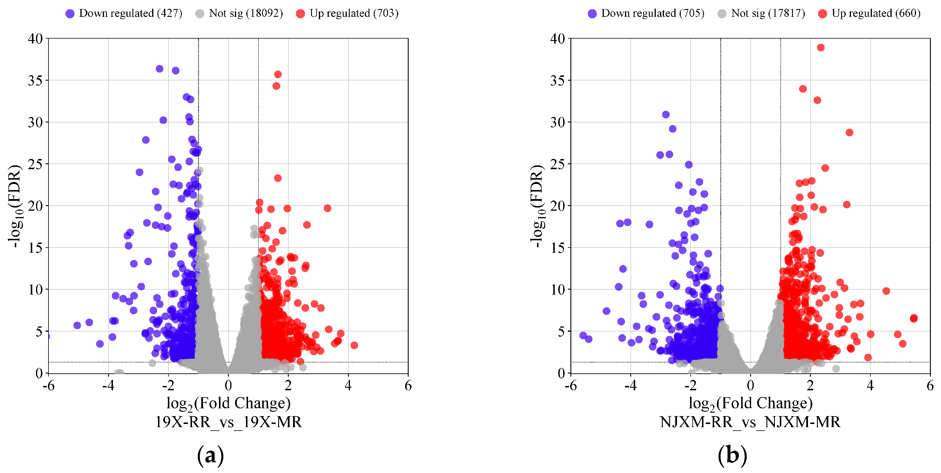 Foods 14 02873 g005 Foods 14 02873 g005