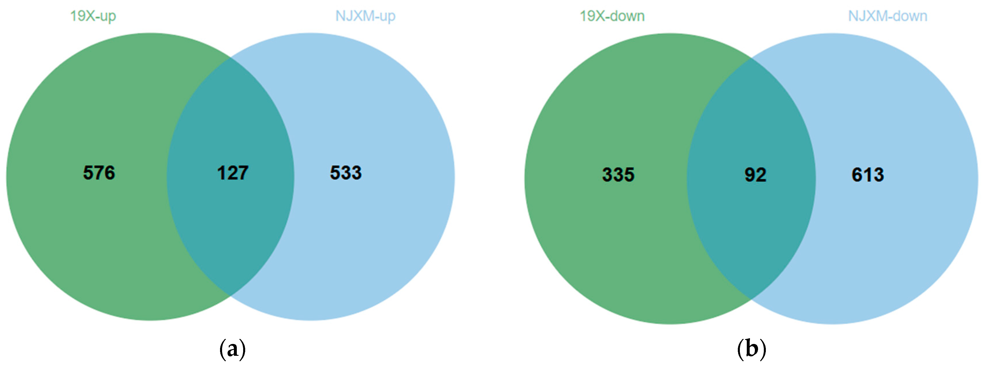 Foods 14 02873 g006 Foods 14 02873 g006