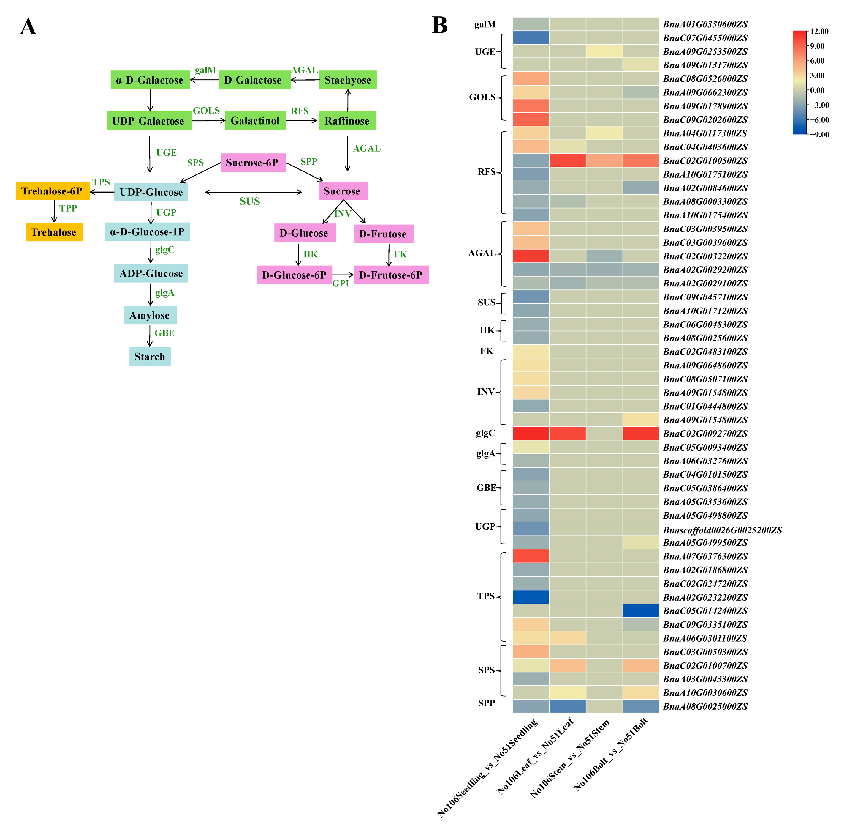 Foods 14 02874 g007 Foods 14 02874 g007