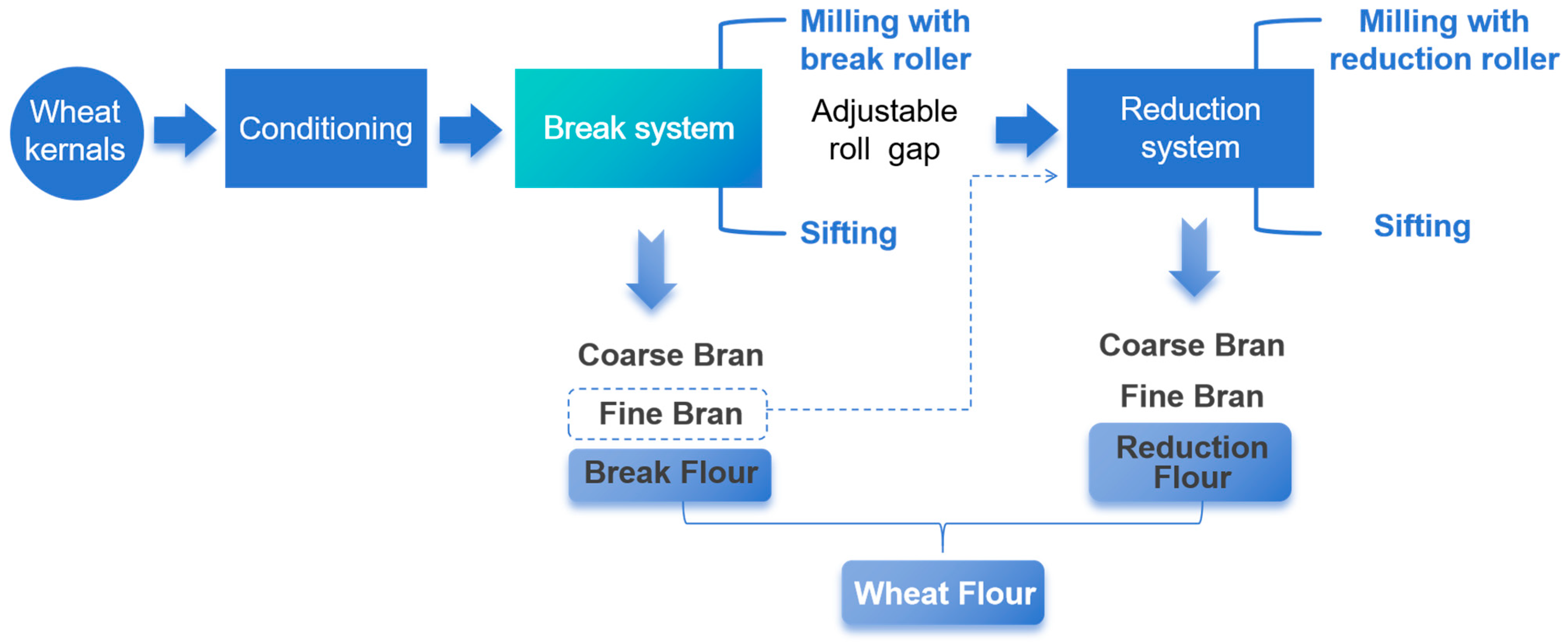 Foods 14 02885 g001 Foods 14 02885 g001