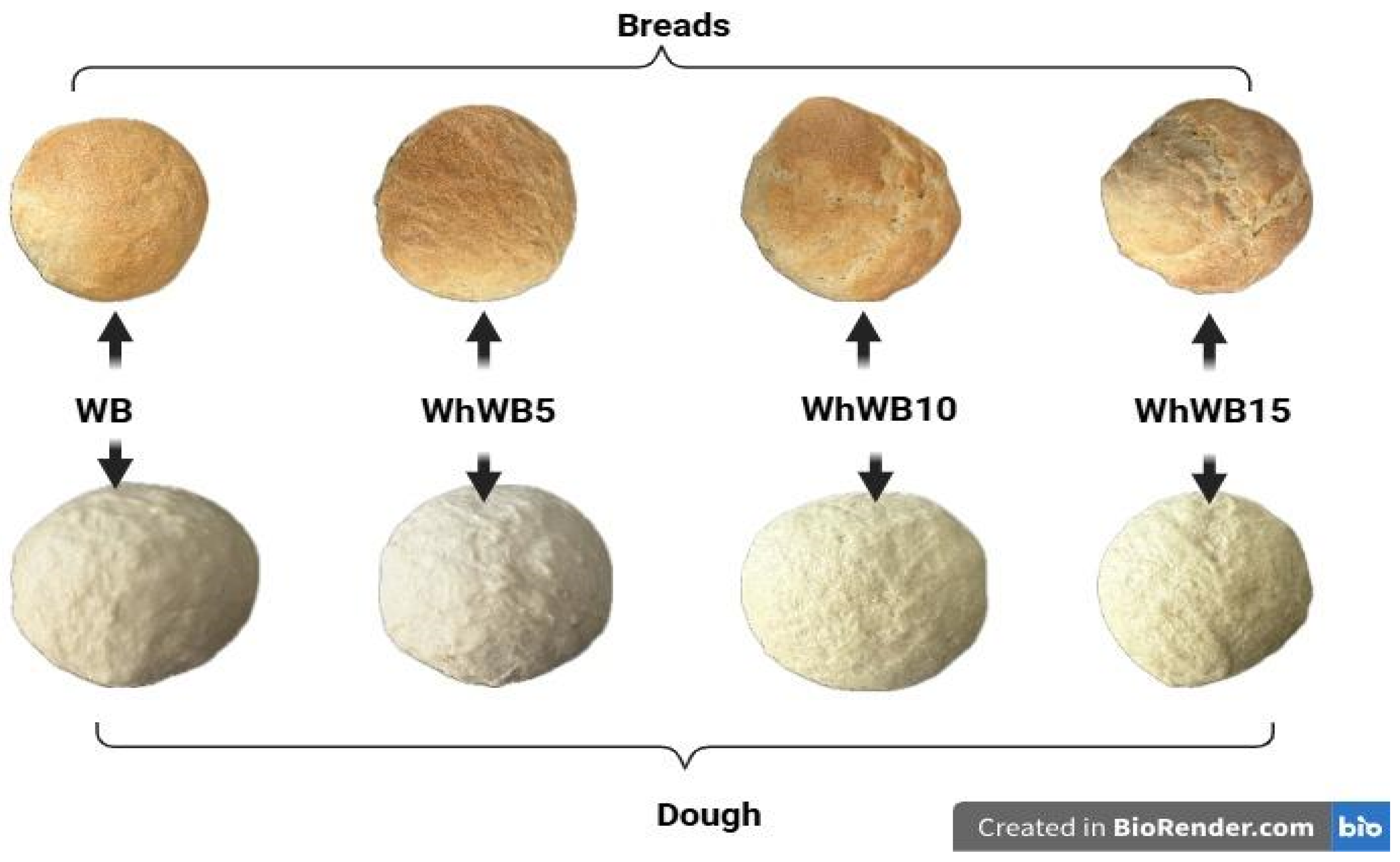 Foods 14 02911 g004 Foods 14 02911 g004