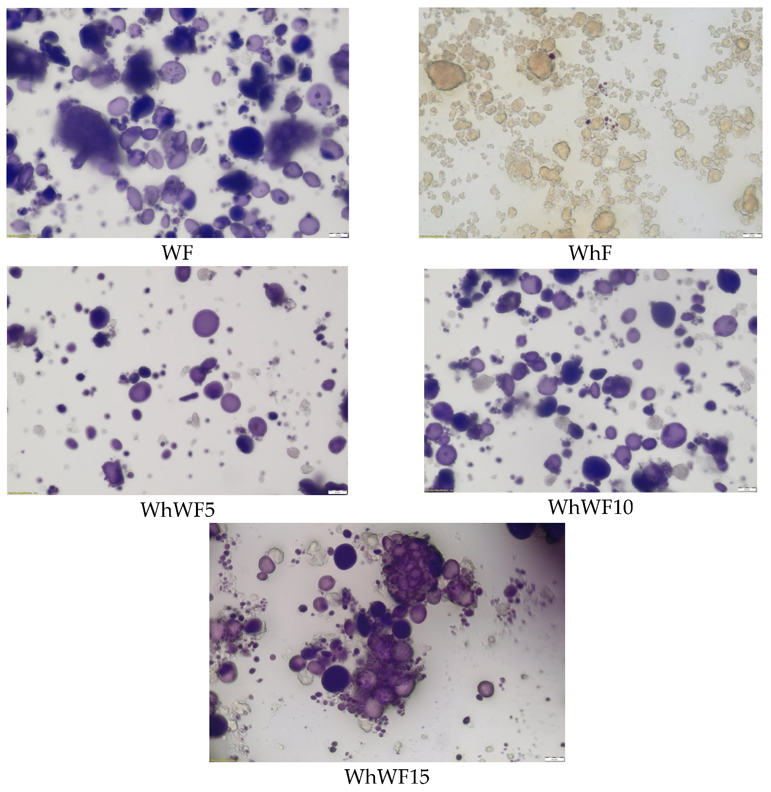 Foods 14 02911 g010 Foods 14 02911 g010