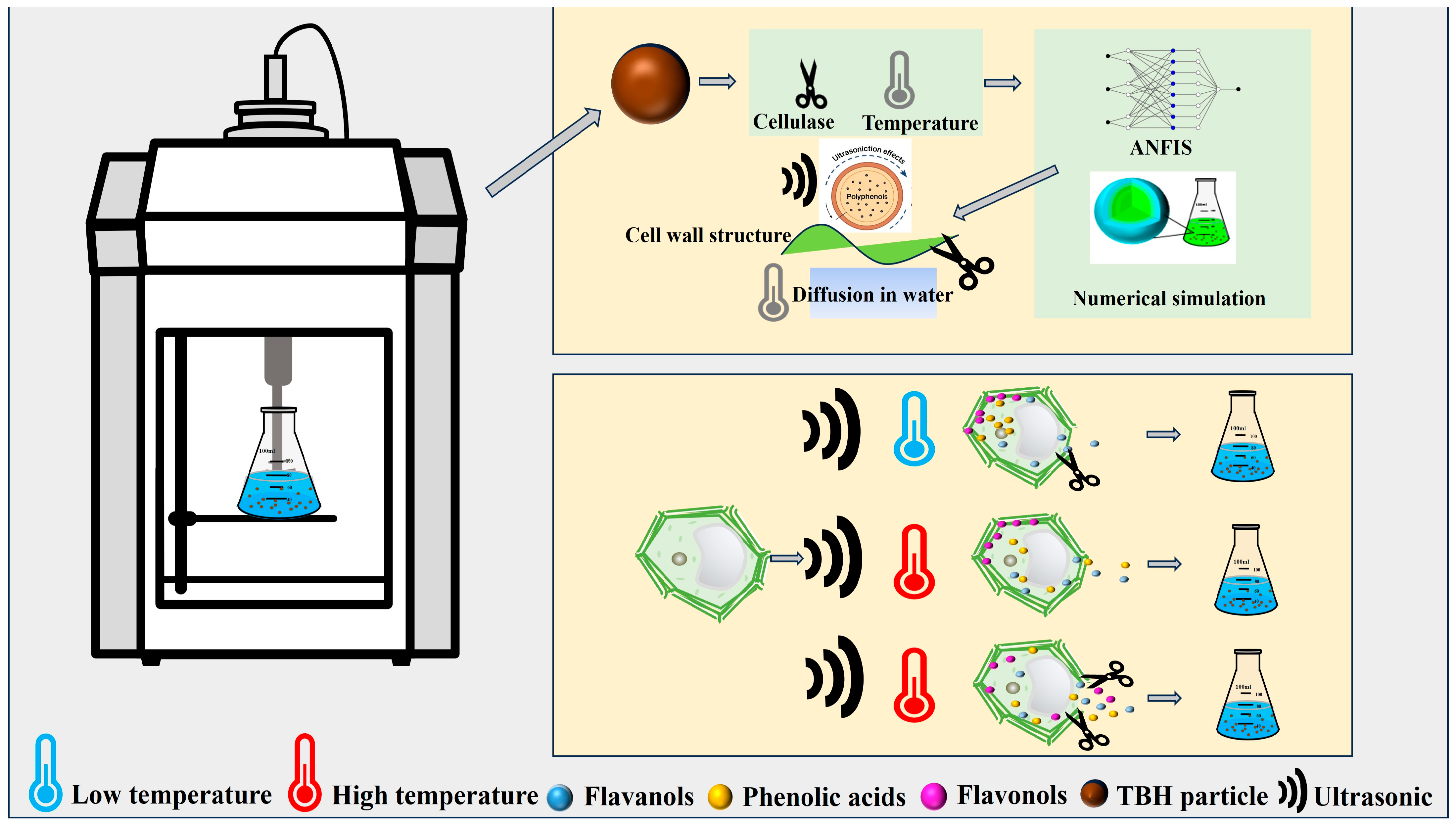 Foods 14 02915 g009 Foods 14 02915 g009