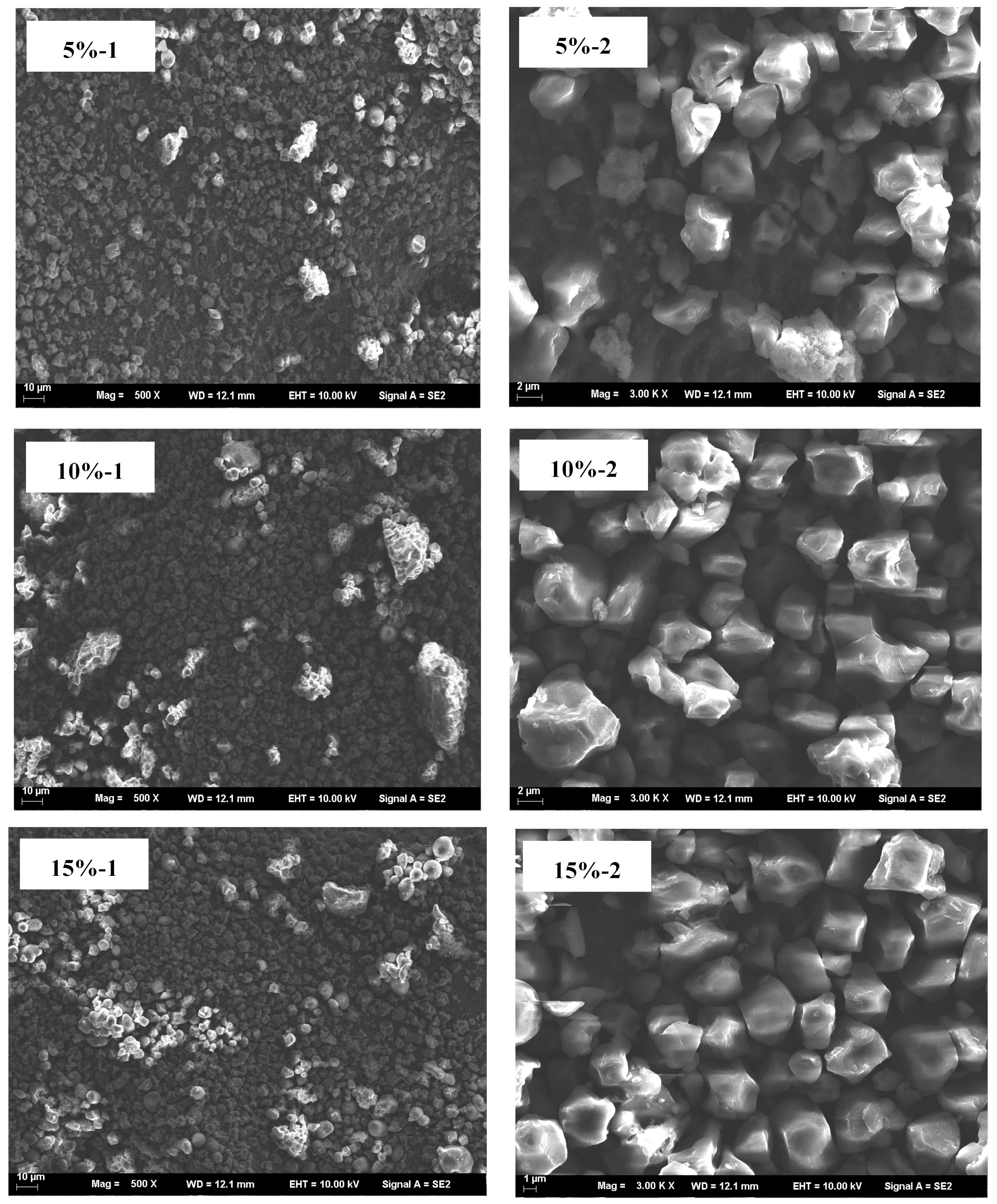 Foods 14 02920 g007b Foods 14 02920 g007b