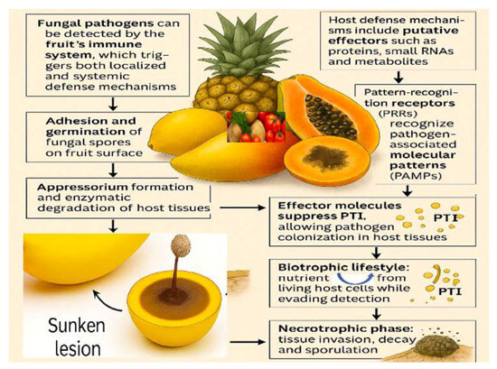 その他 set High Performance Excavator Control Unit Controller 9226743